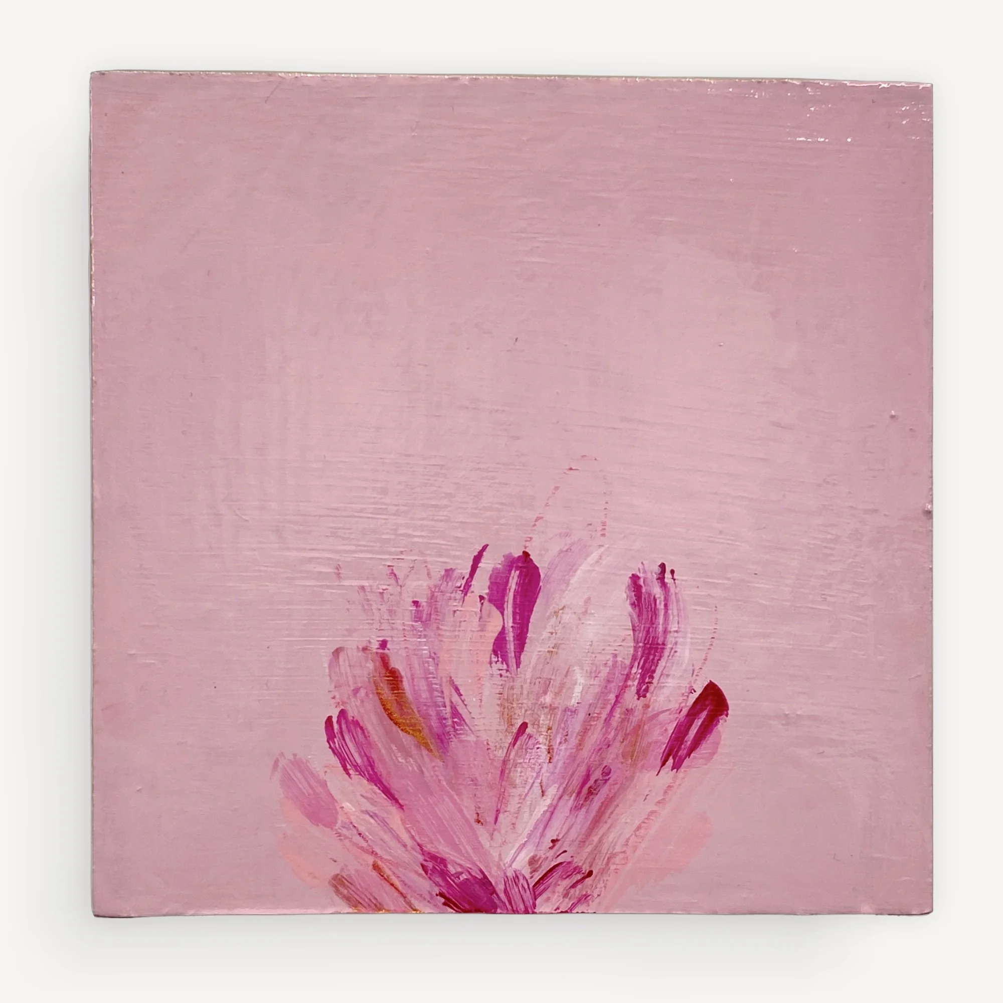Blush botanical.jpg