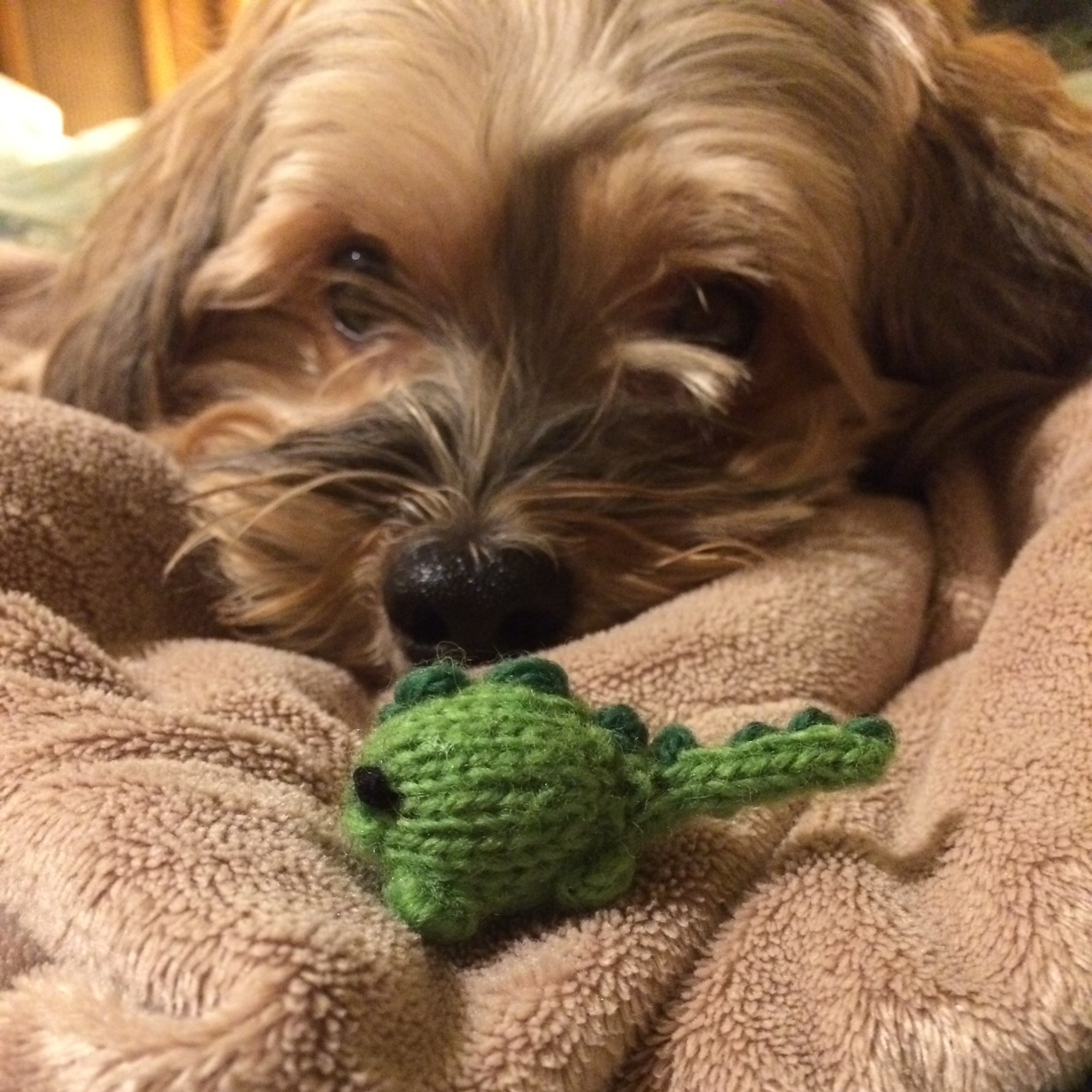 My "therapy" pup, Merlin, and my Mochimochi creation. Pattern can be found in this book . 