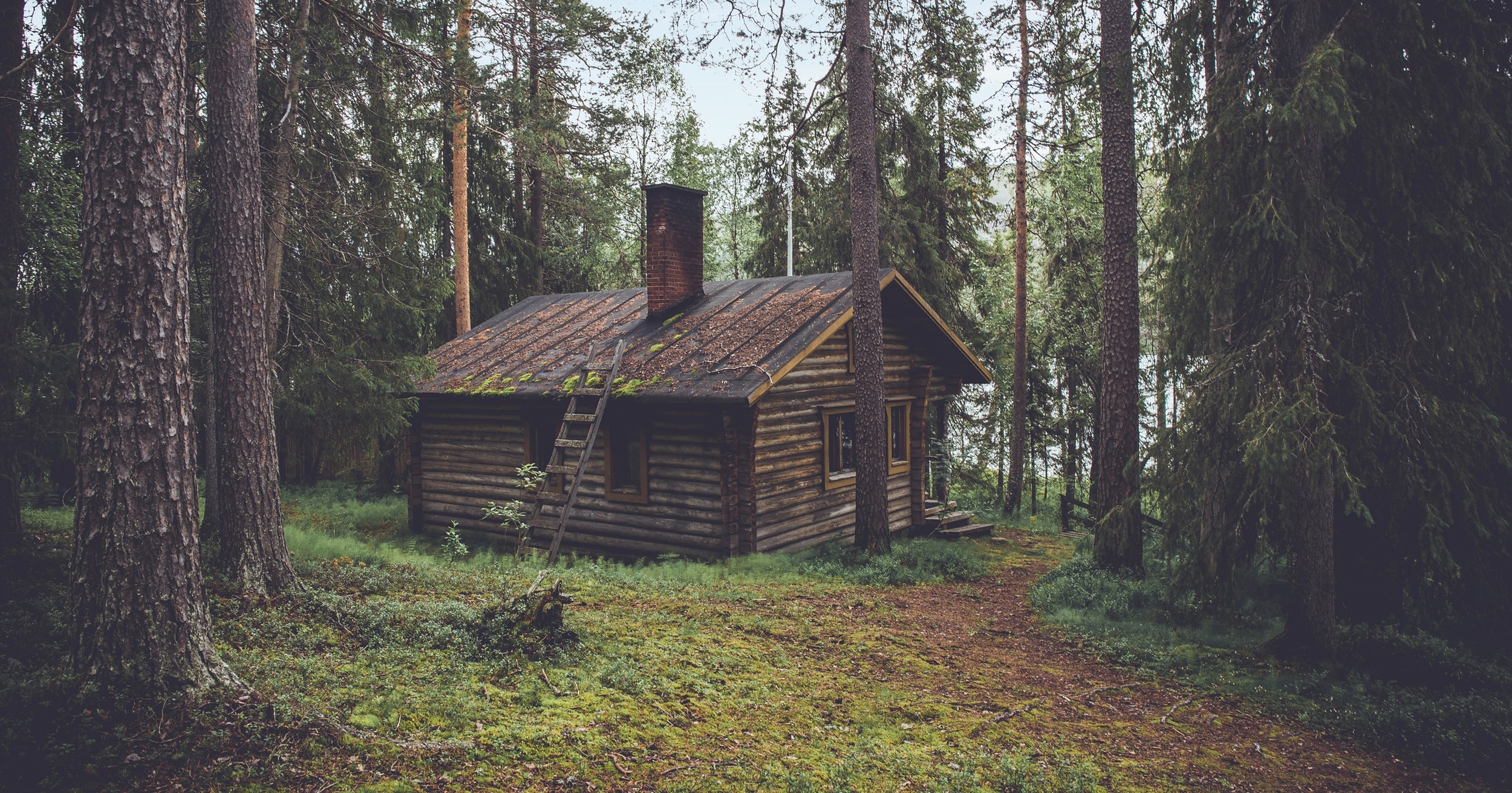 Photo by Olivier Guillard via Unsplash .