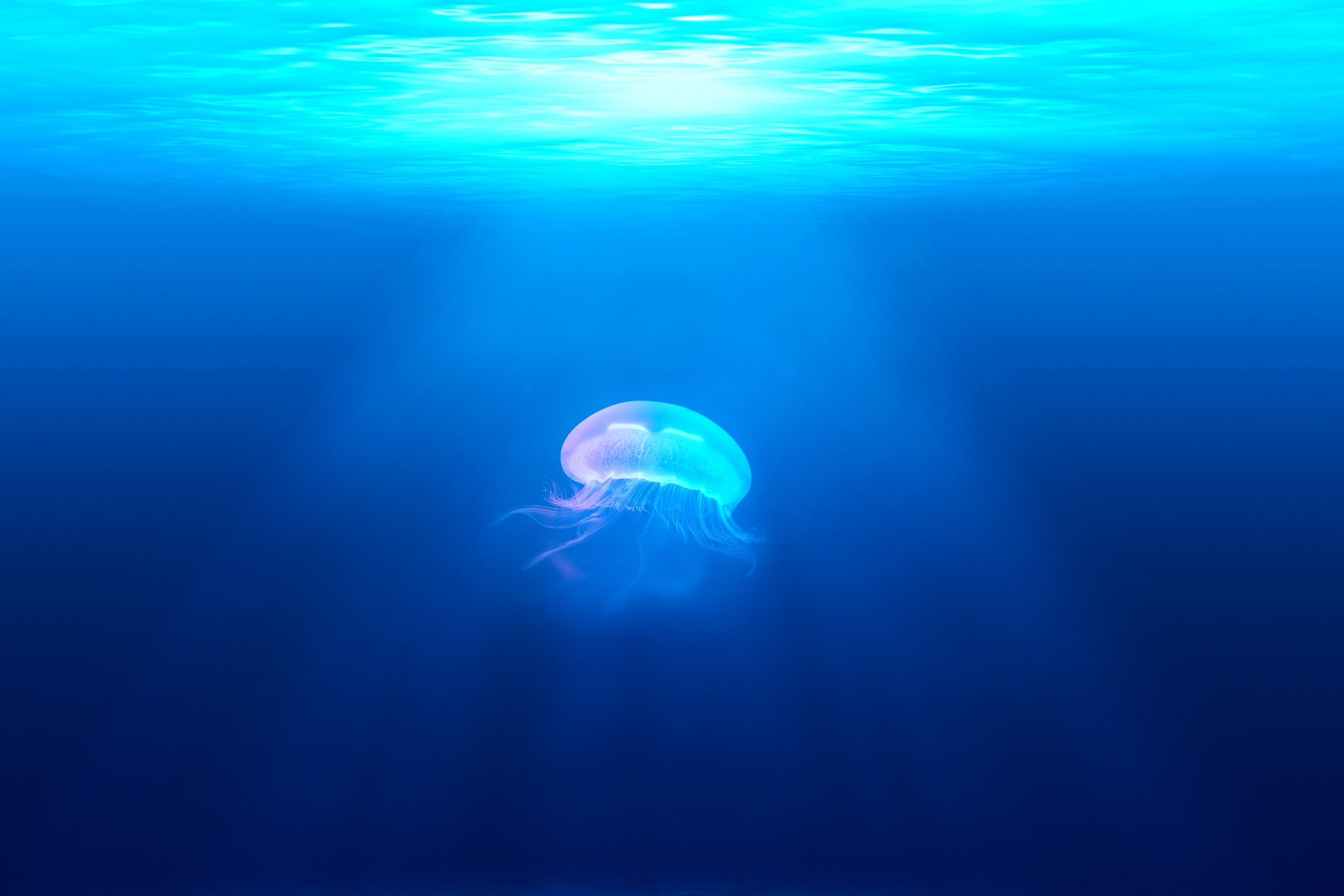 Photo via Unsplash 
