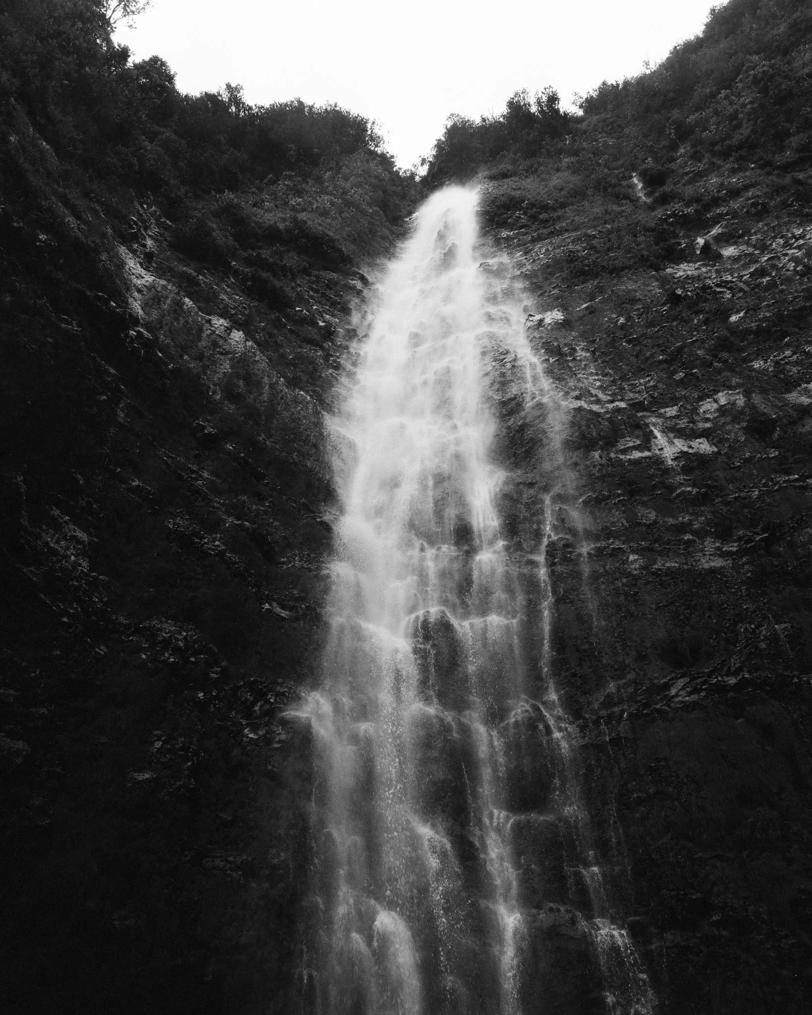 Website Photos-26.jpg