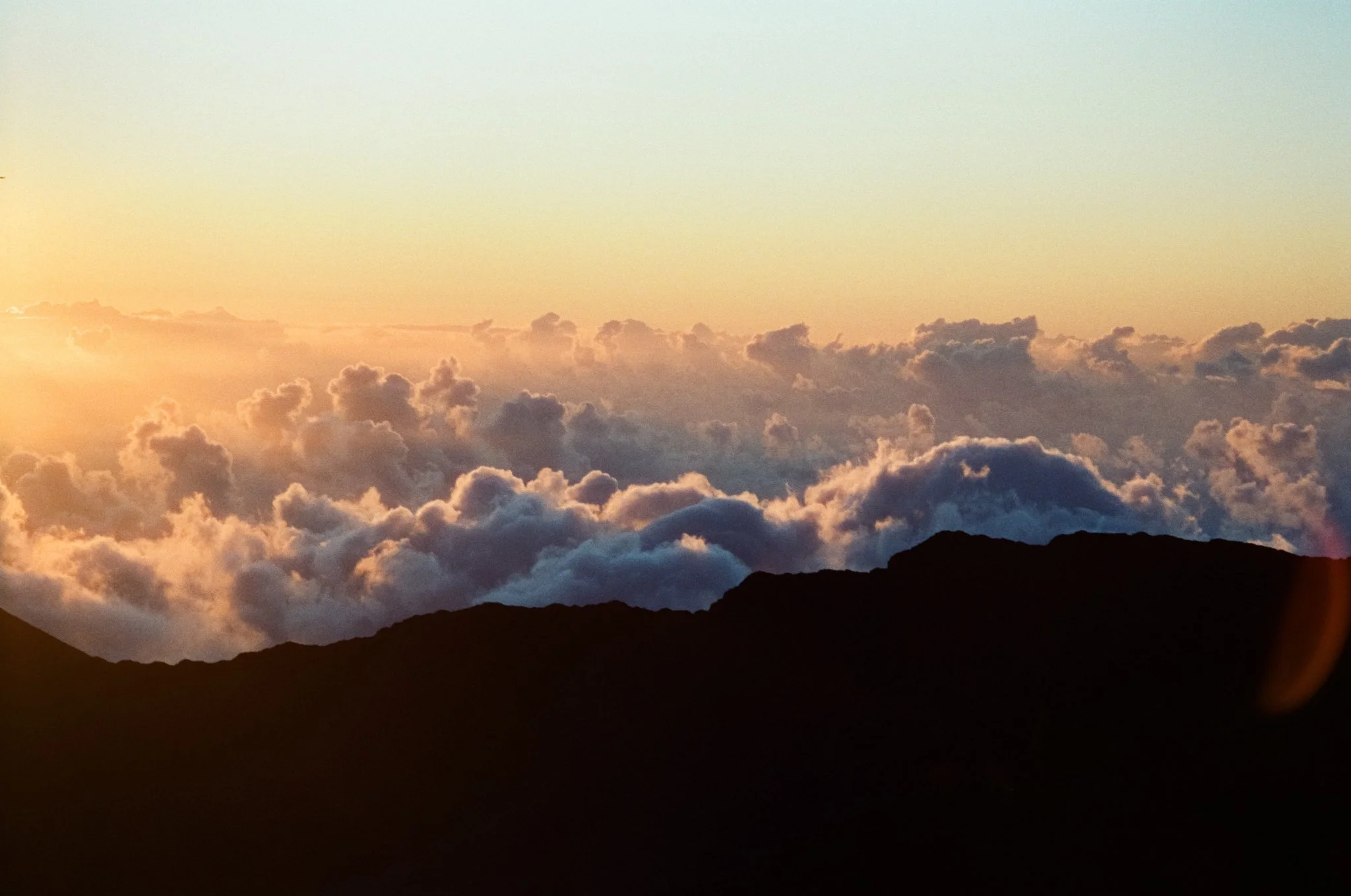 Website Photos-39.jpg