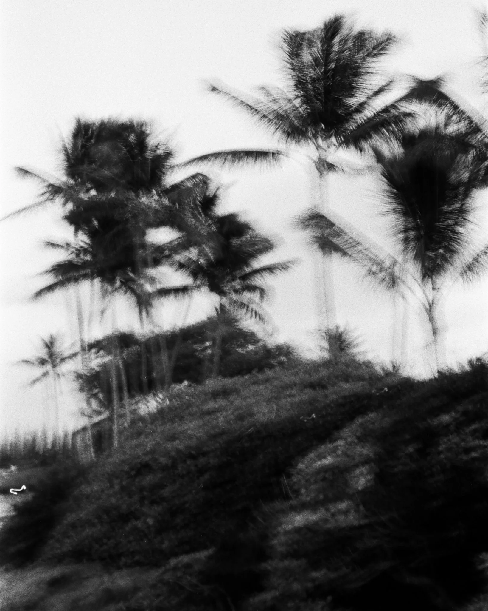 Website Photos-42.jpg