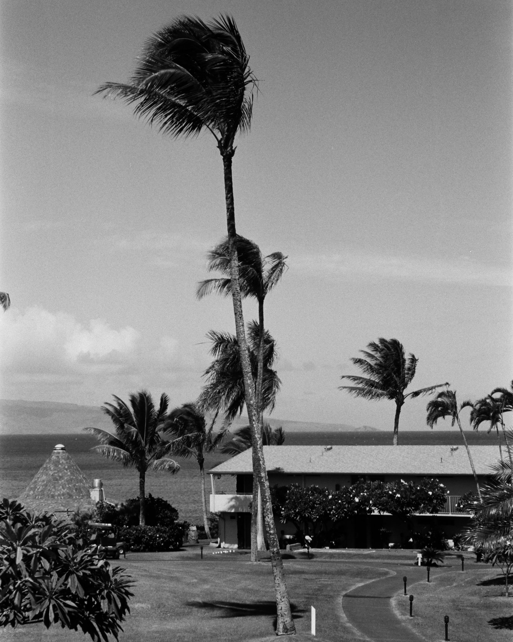 Website Photos-44.jpg