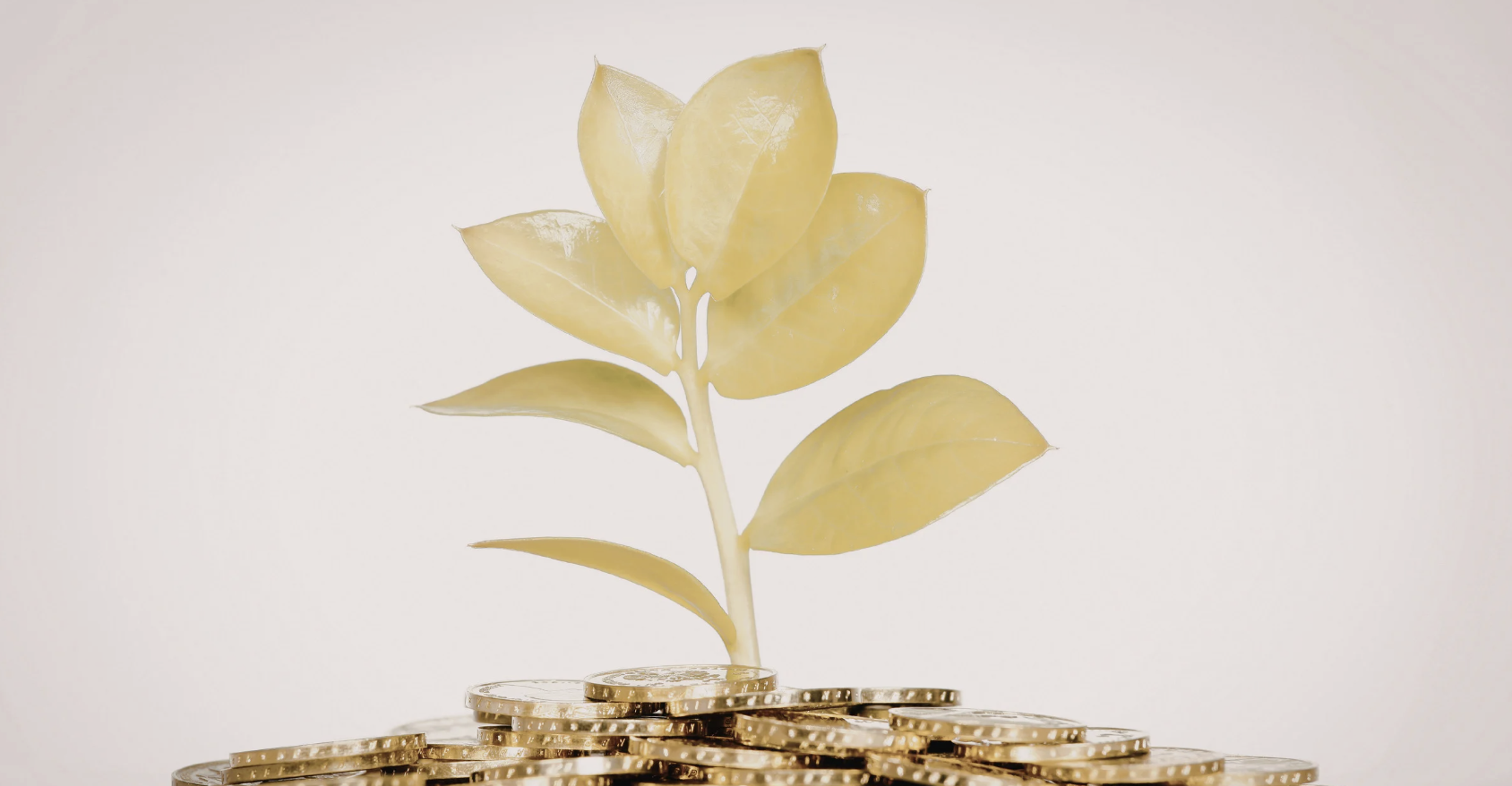 Why Your Practice Needs a Fractional Marketing Expert