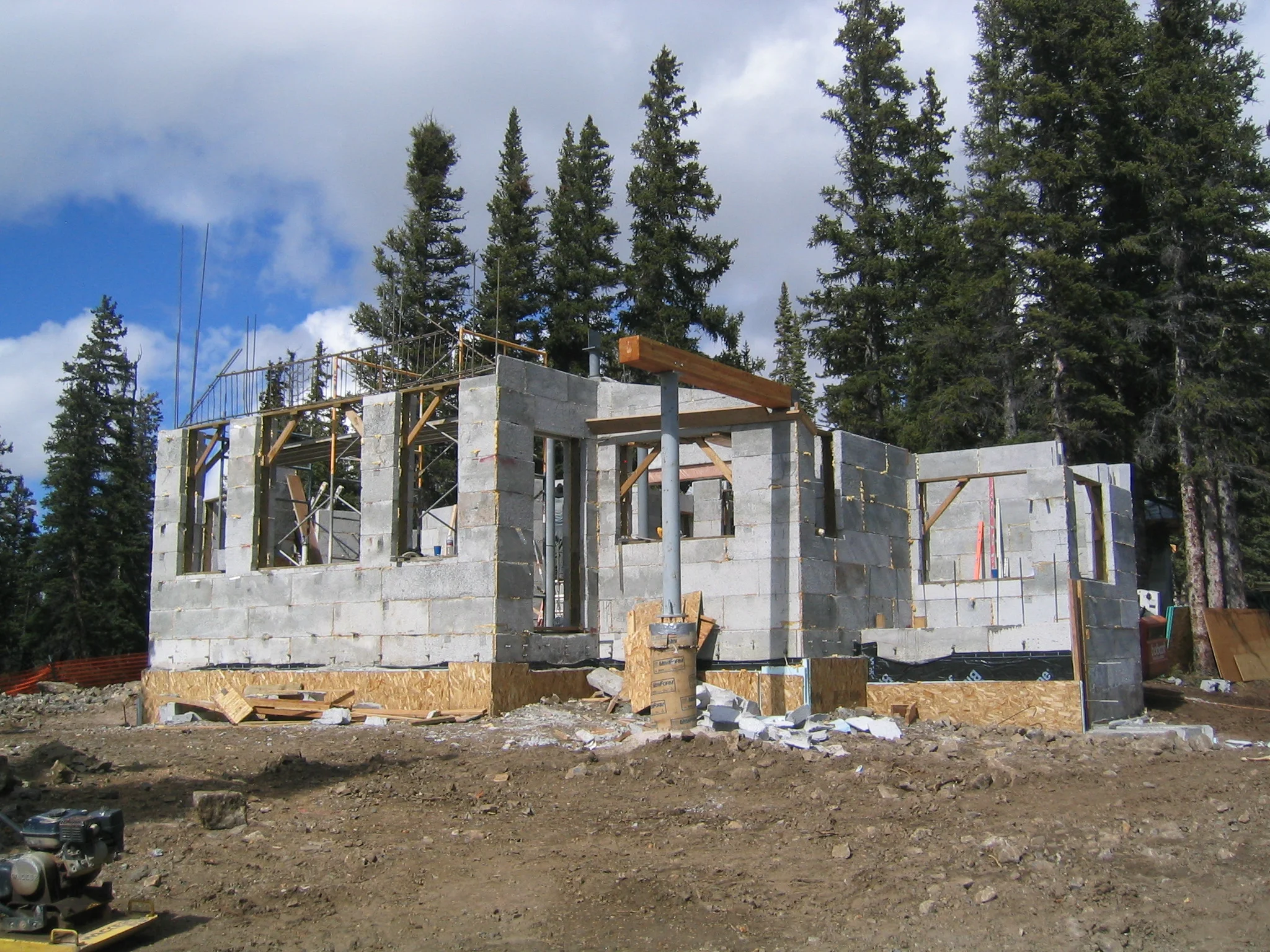 Cabin Roof 042.jpg