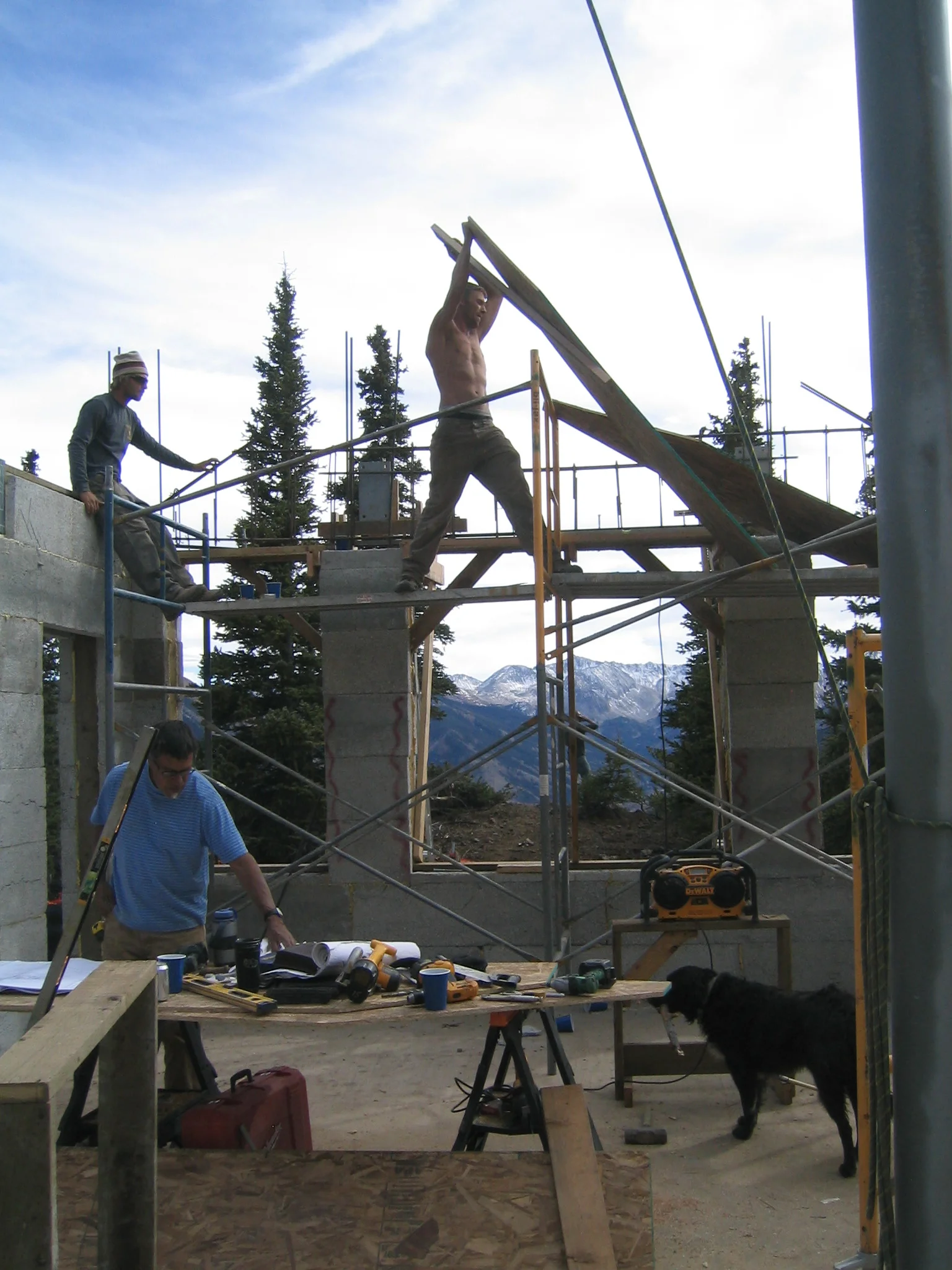 Cabin Roof 067.jpg