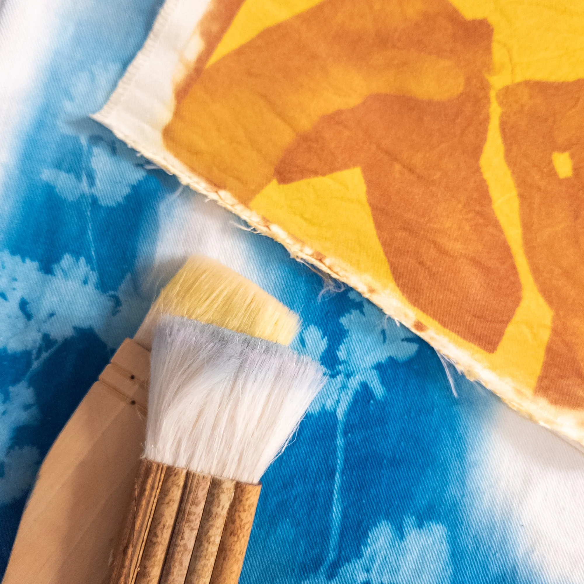 Cyanotype and Solarfast Dye Workshop by Rosalba Breazeale in collaboration with Triflorum Designs
