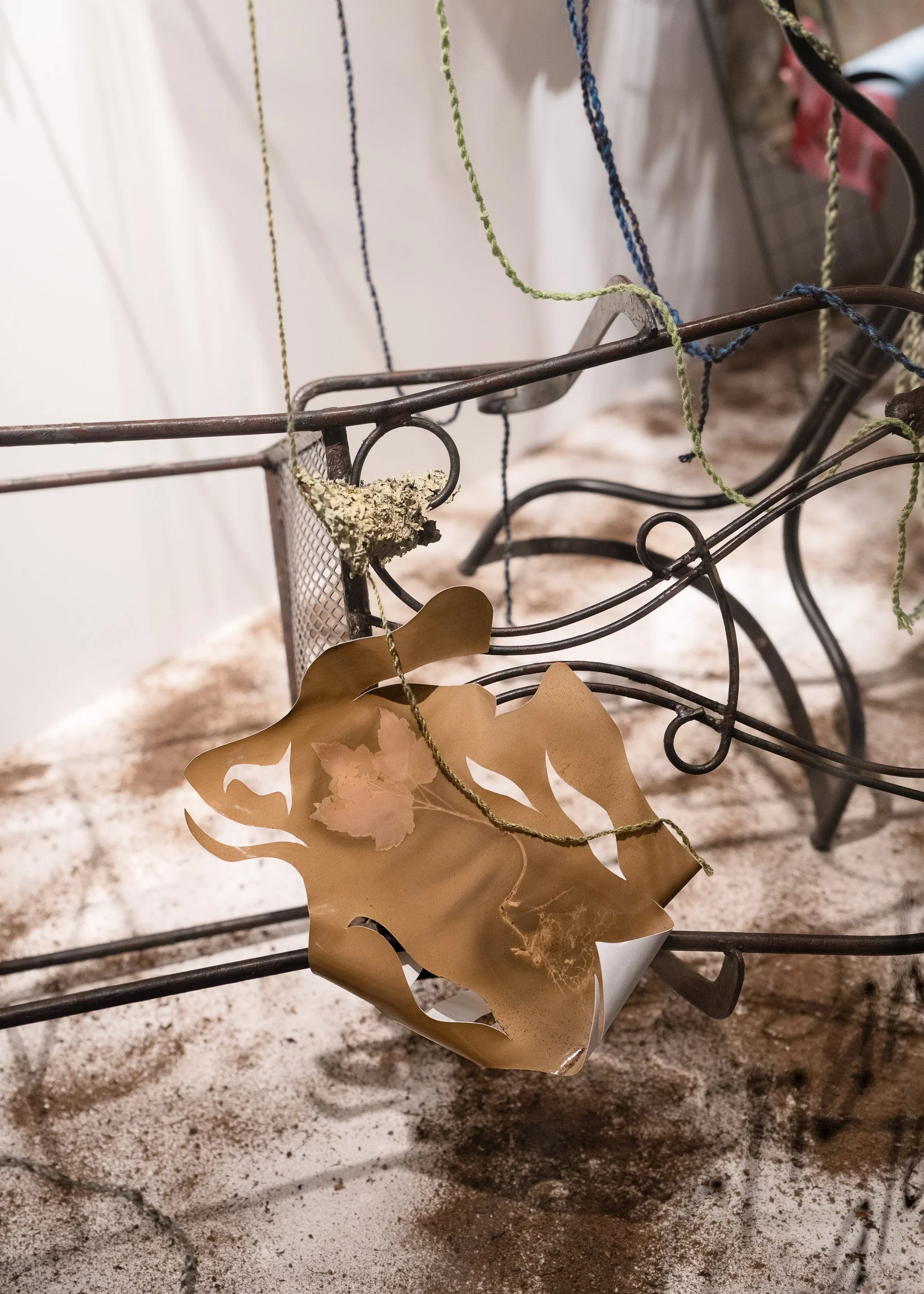 Photographed by Joel Tsui