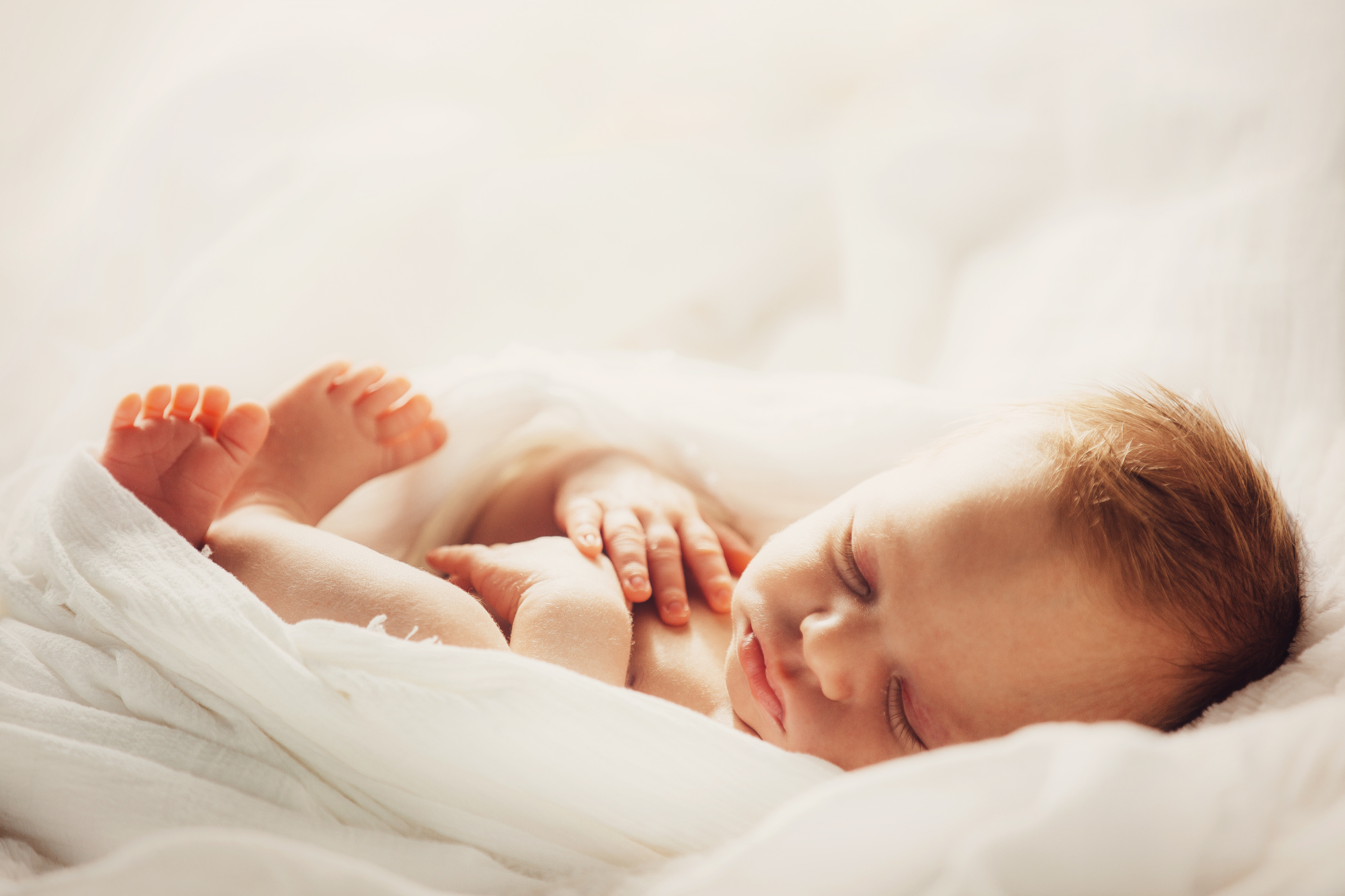 Everett Washington newborn portrait, sleeping in light