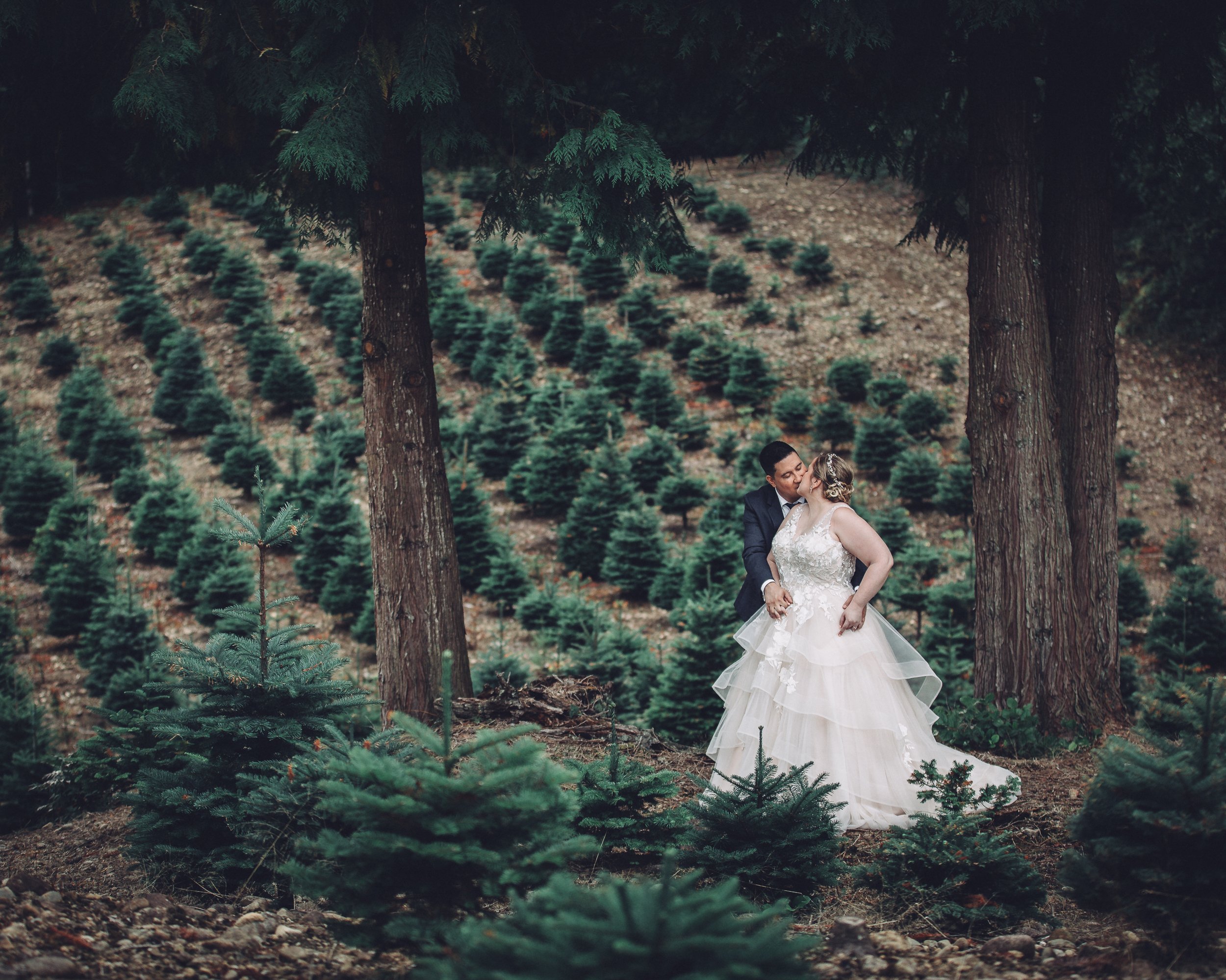 Wedding at Trinity Tree Farm, Issaquah, Washington