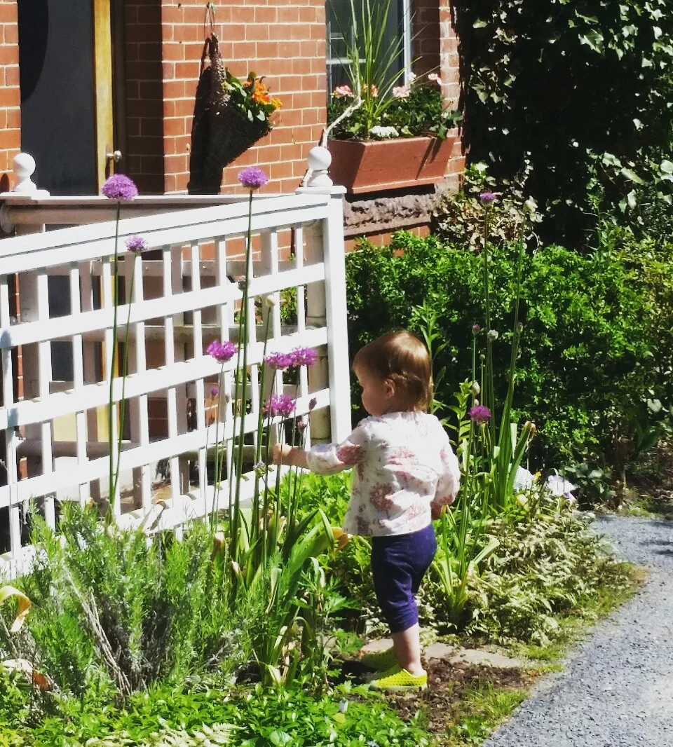 A spring garden on Aquidneck Island