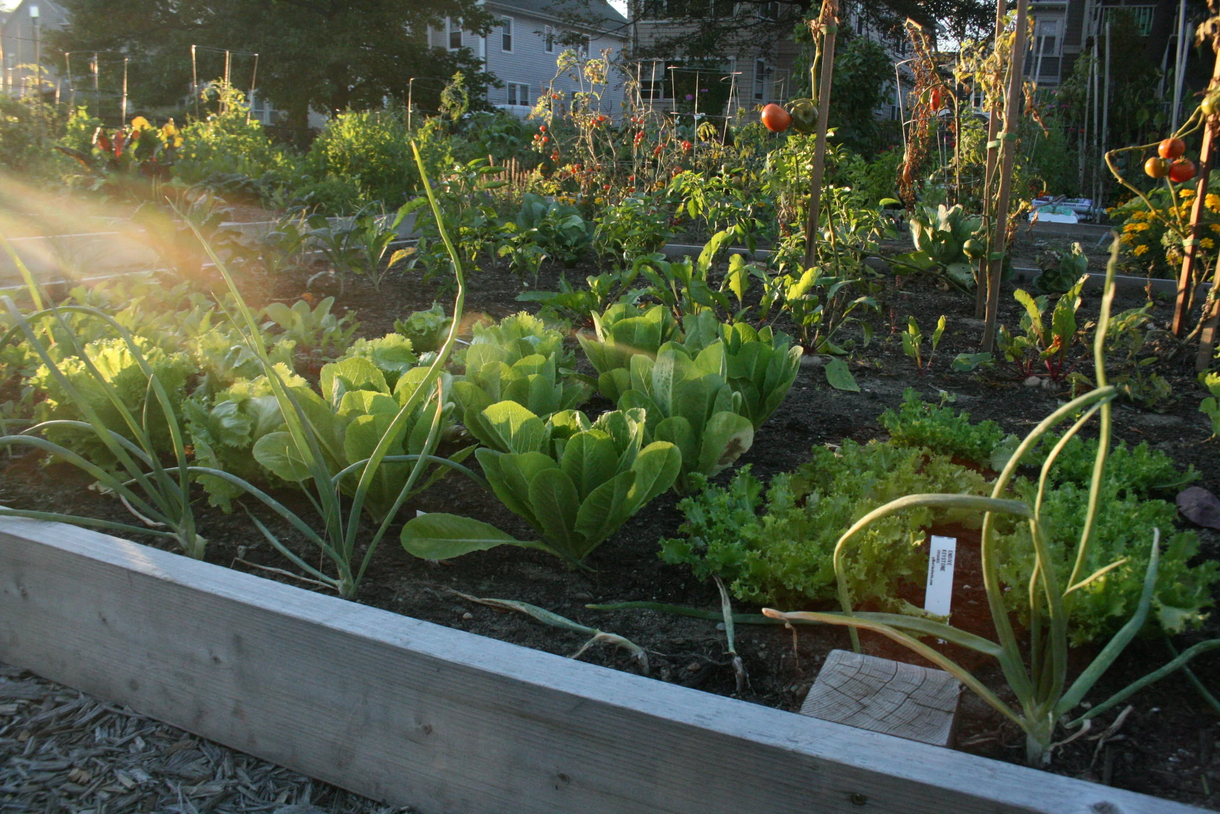 How to get a useful soil sample...