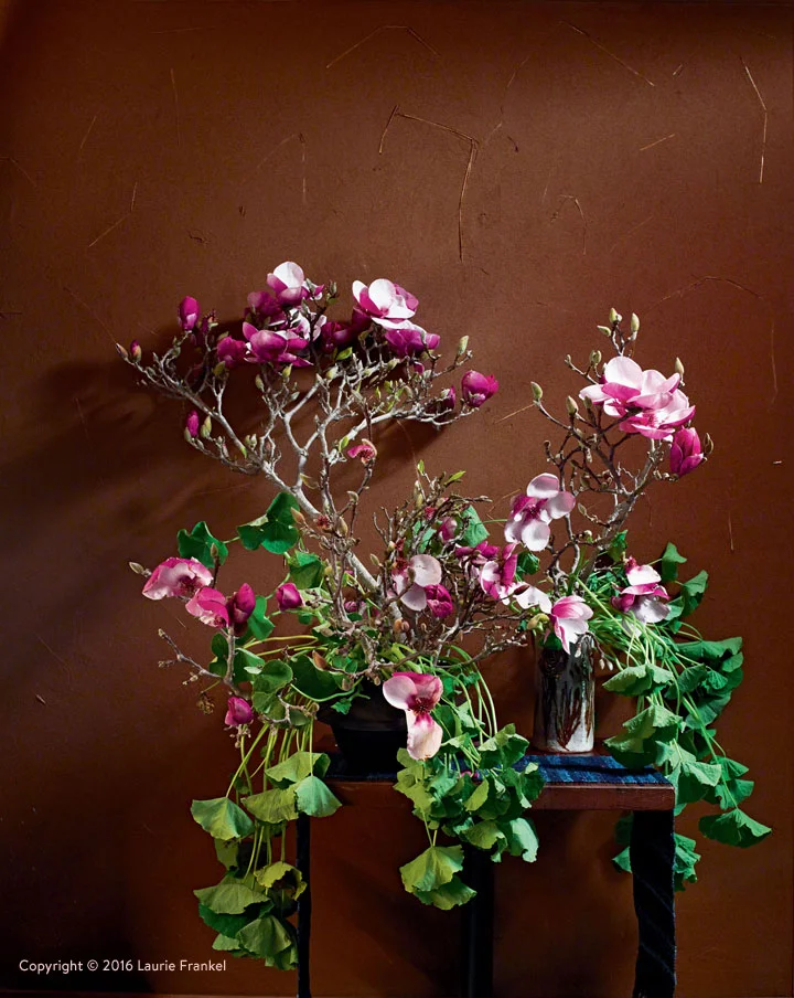 197_Roeb_9781607748601_art_r1.jpg
