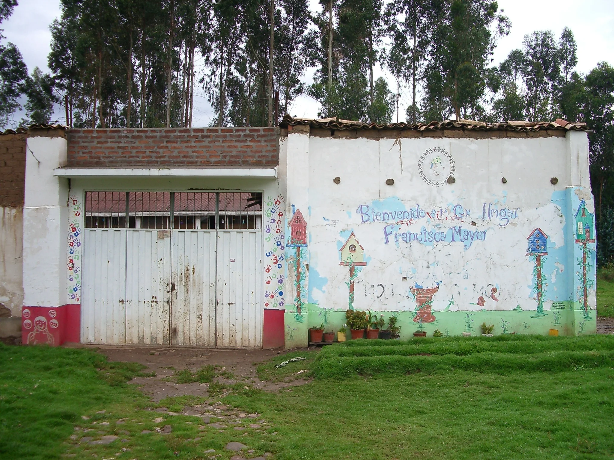 IMGP5271.JPG