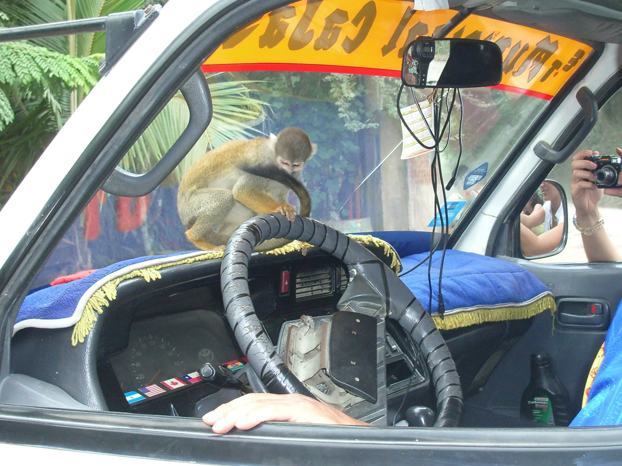 IMGP5609.JPG
