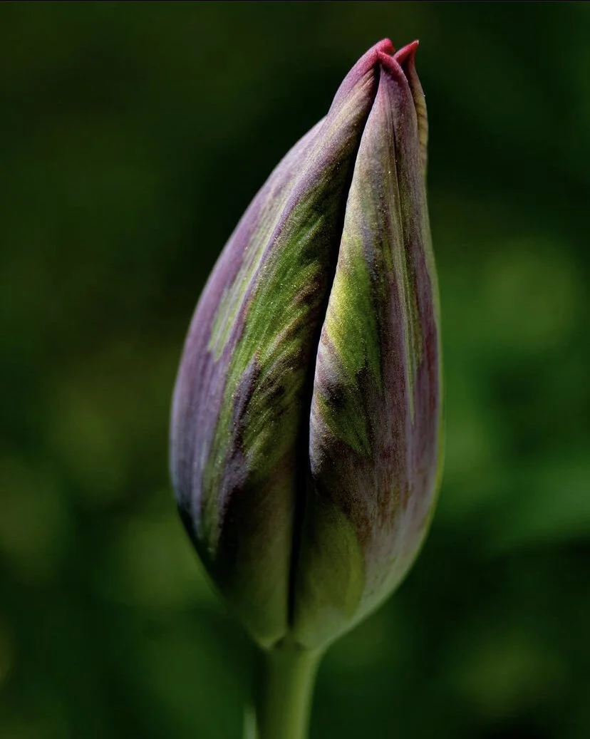 FDF6A467-80A7-4617-B835-51260F469EBD