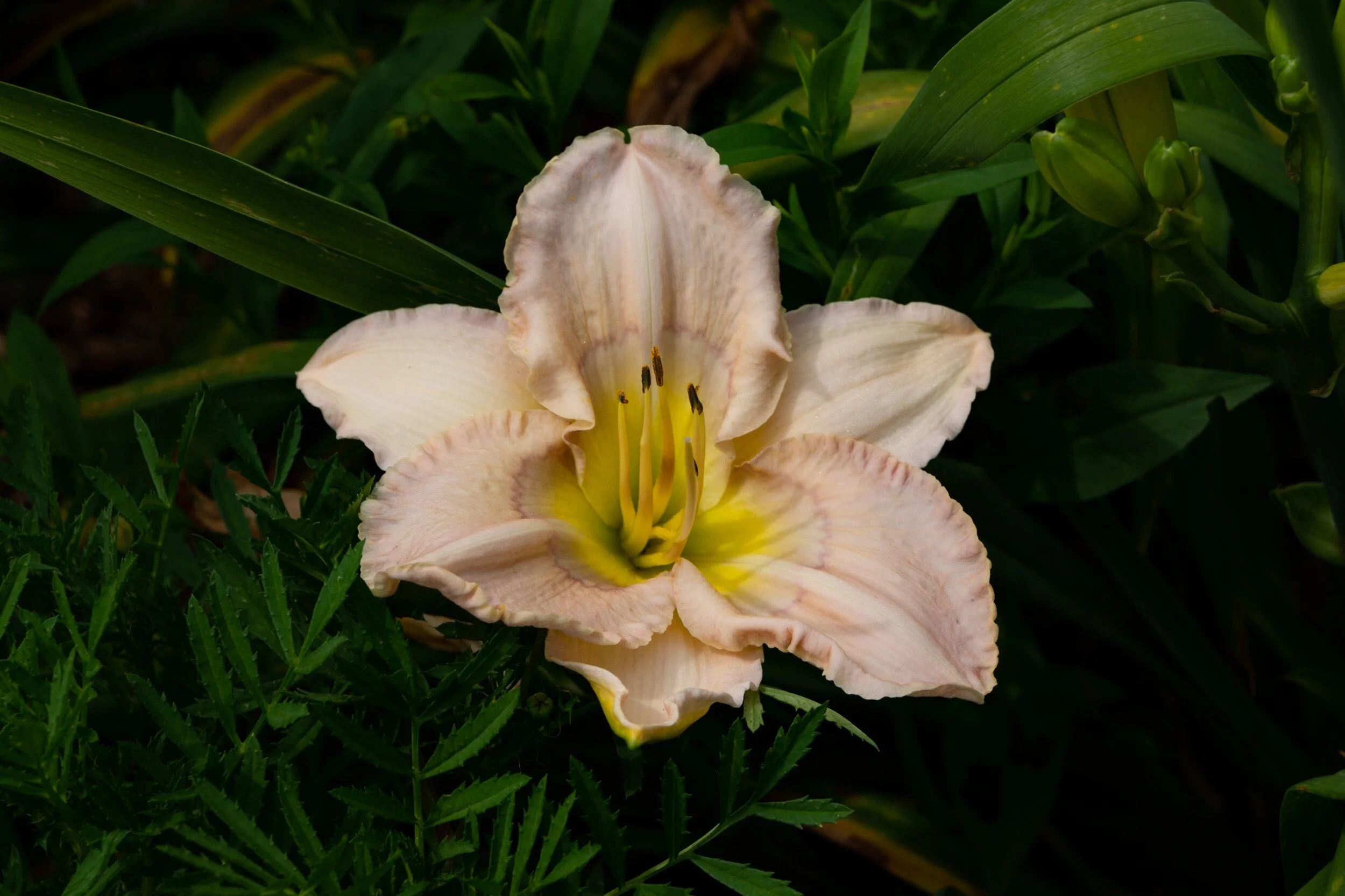 BAF9DFD9-25E9-4B9F-AE72-412232F6A31D