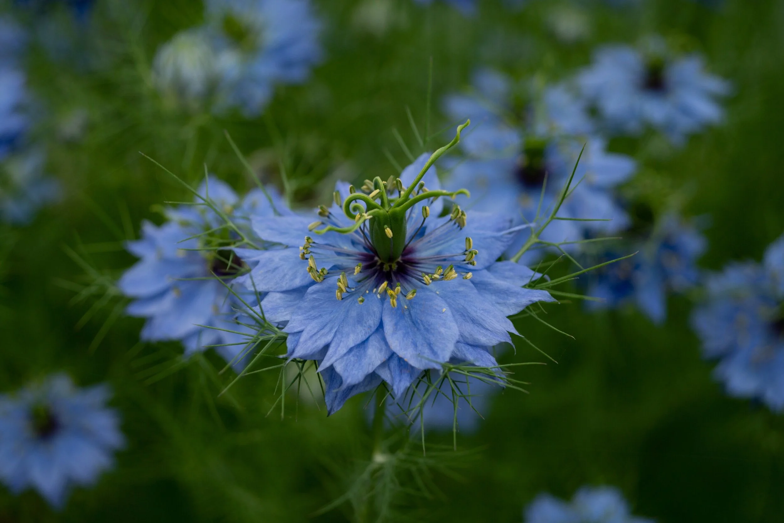 F9F0BED9-1A86-4C8D-9B78-6148C0BFDD61