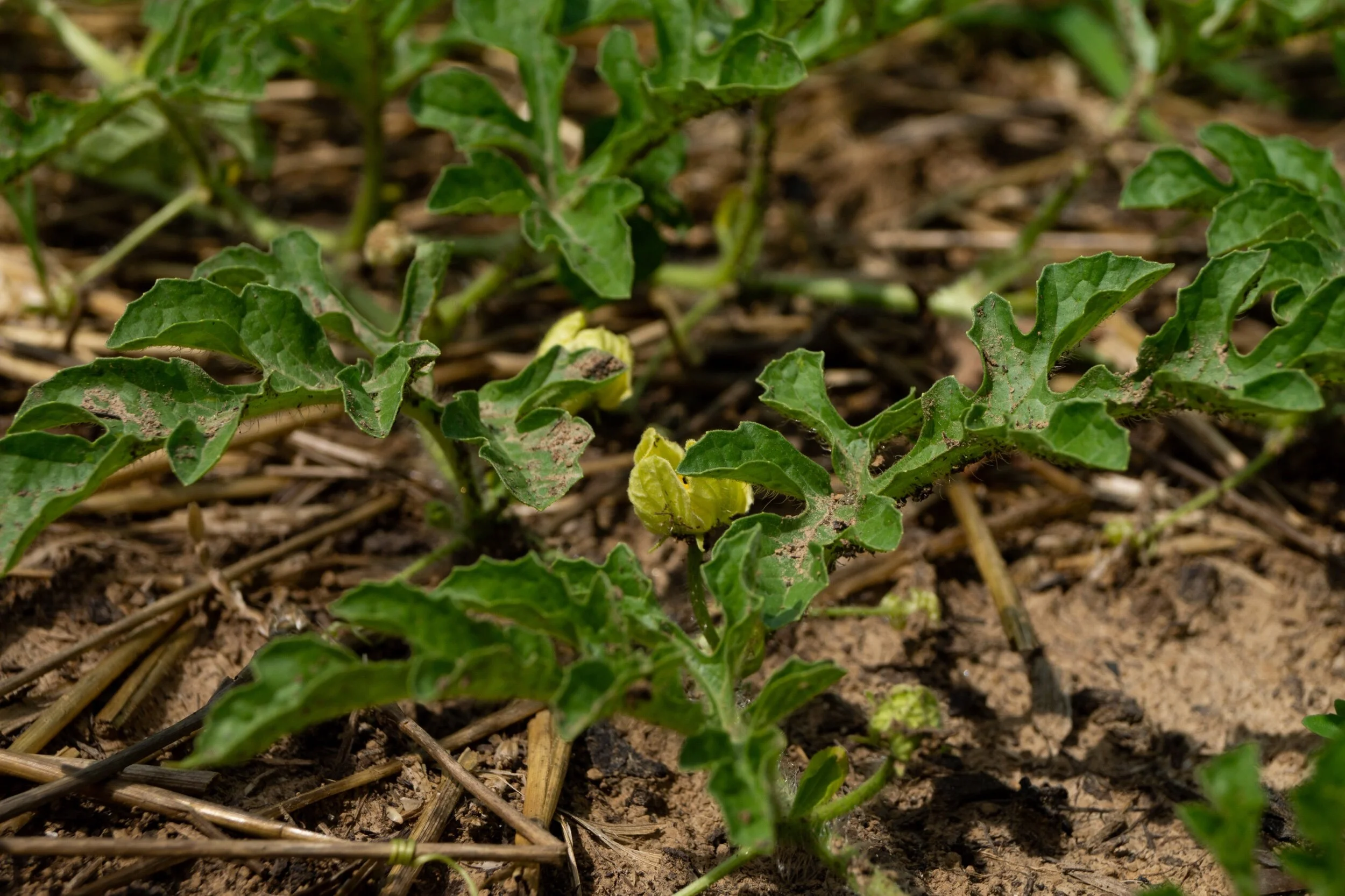 B128443B-243A-4B1C-9A92-54BB50810000