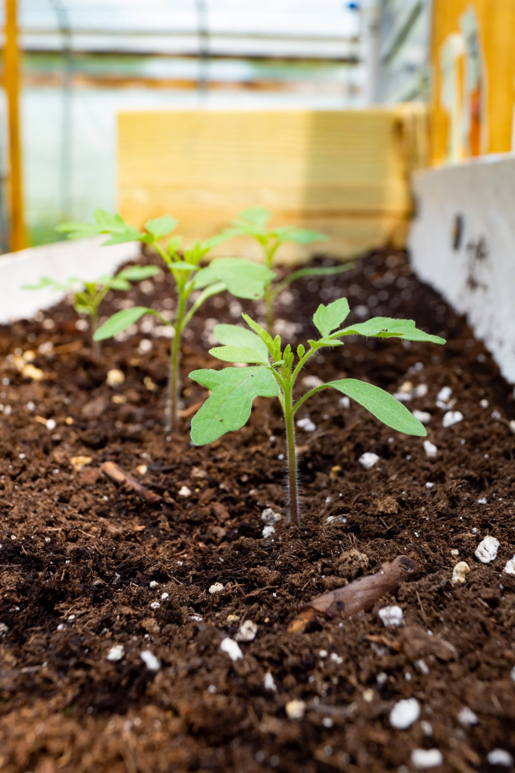 7AE92EA3-2D3B-4815-AC6D-1407567D530B