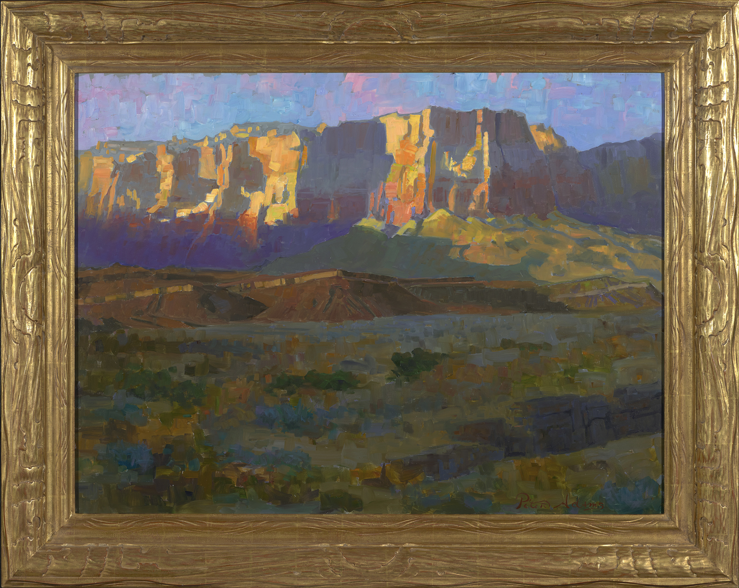 <i>Desert Radiance; Vermillion Cliffs, Arizona</i>