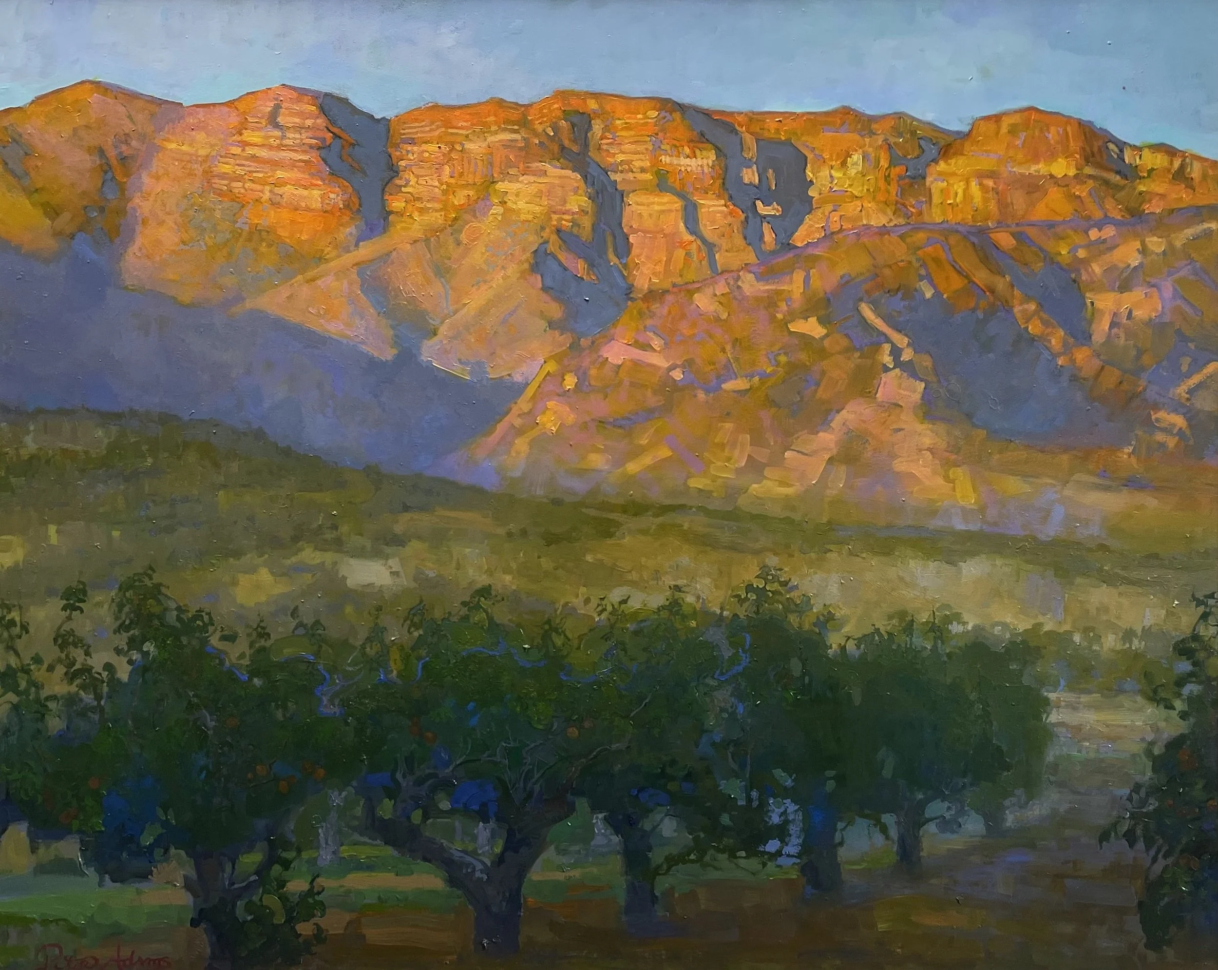 The Pink Moment on the Topa Topa Bluffs overlooking an Apricot Orchard; Ojai Valley