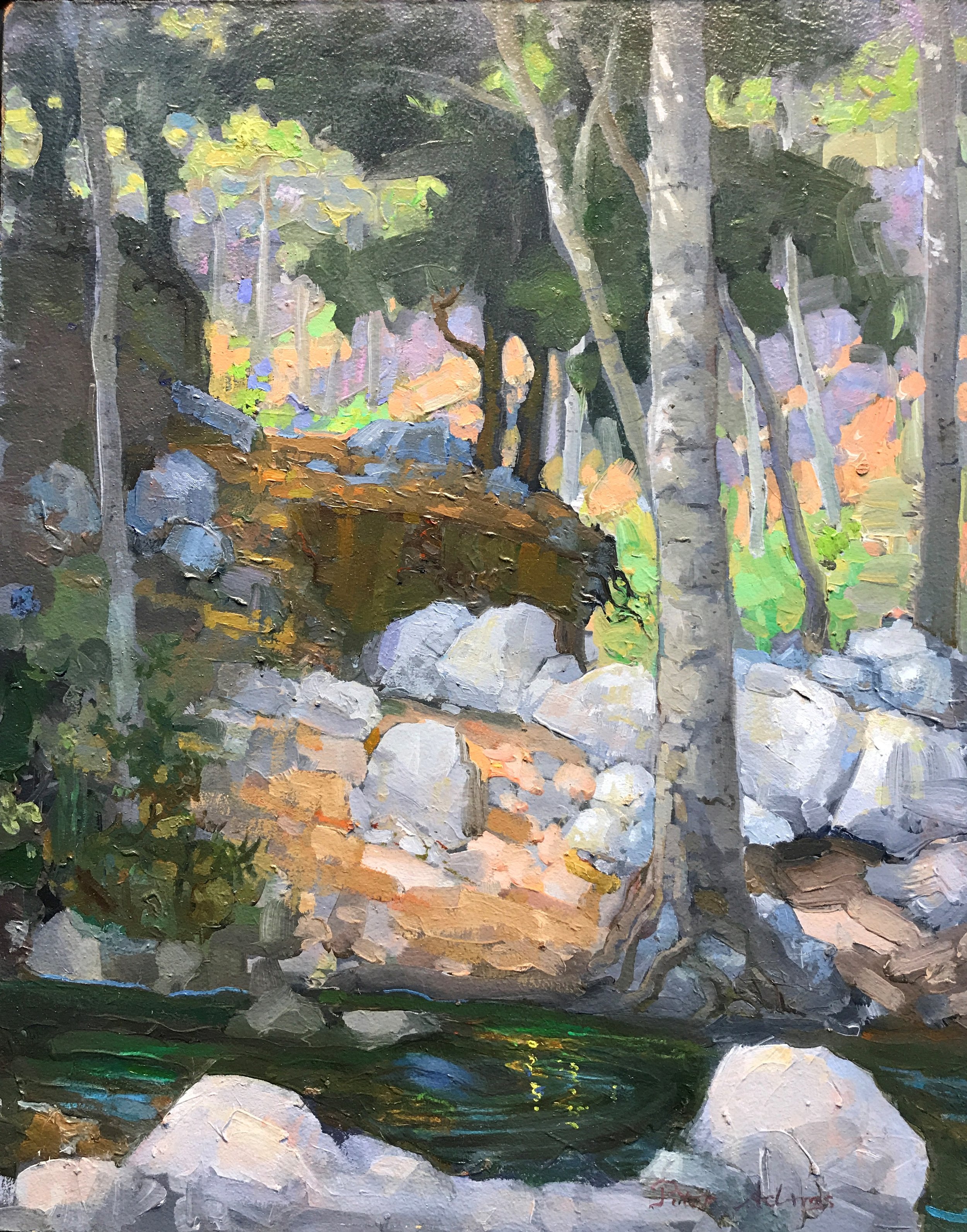 Forest of Alders; Millard Canyon, San Gabriel Mountains