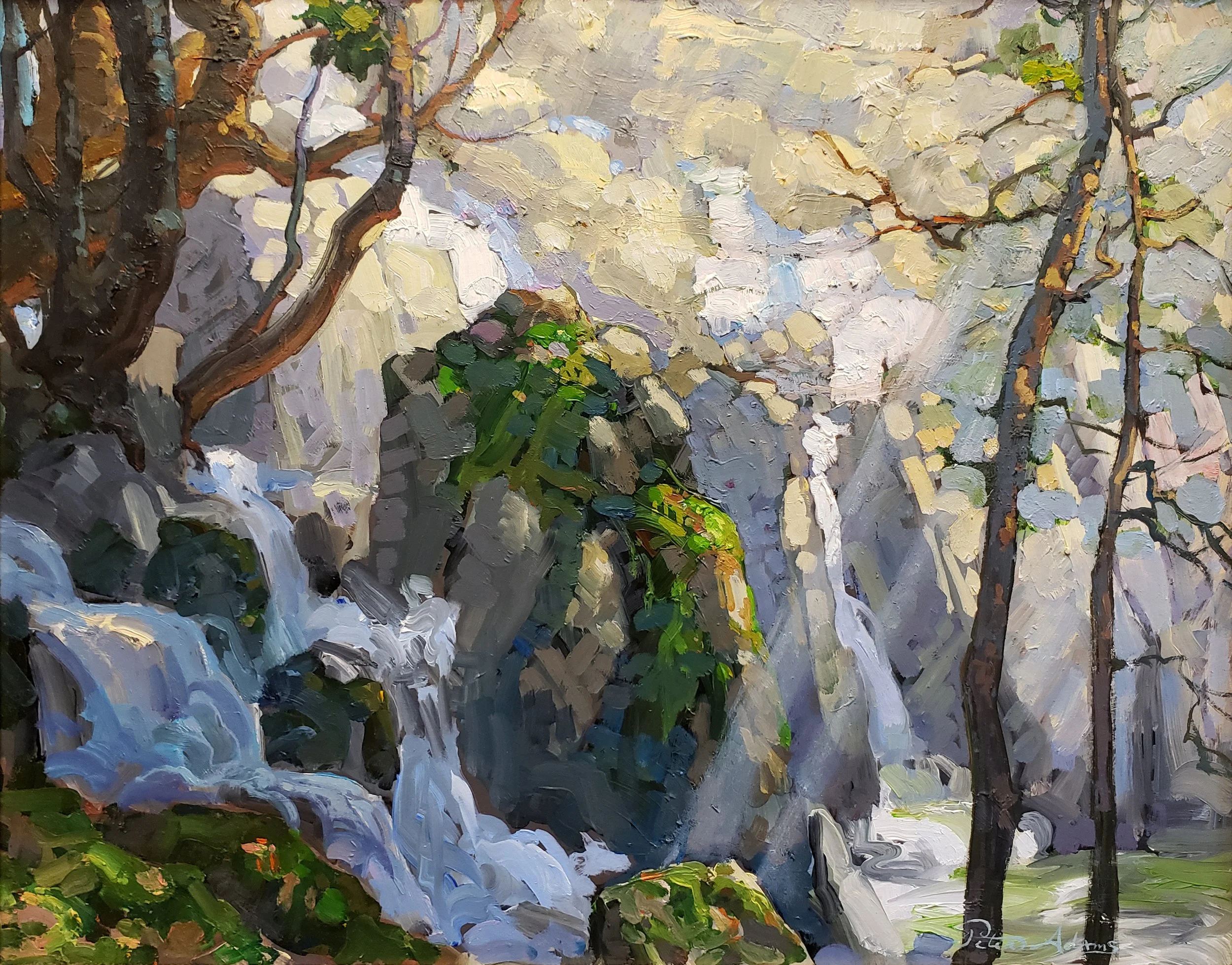 Lower Chilnualna Falls, Yosemite National Park