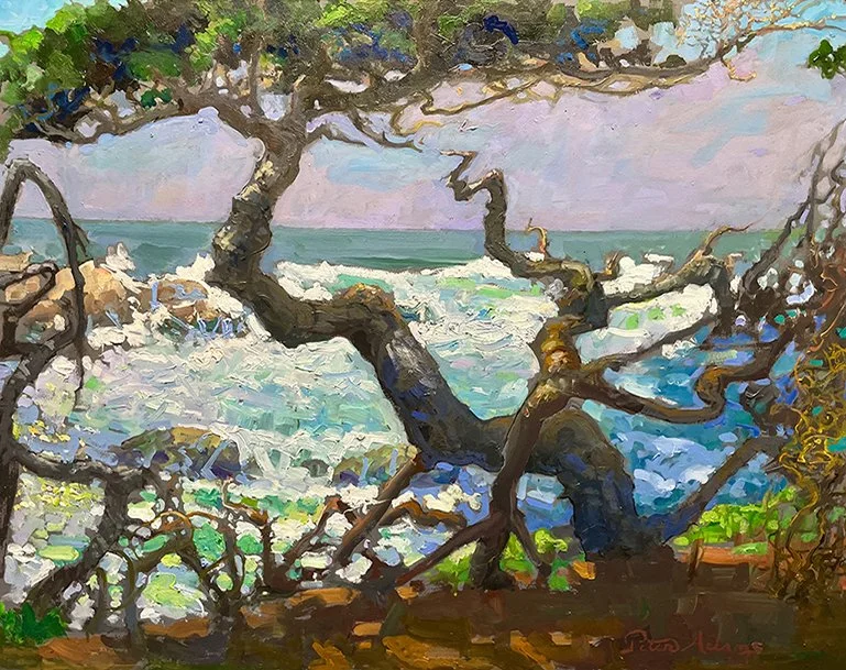 Tapestry of Land and Sea