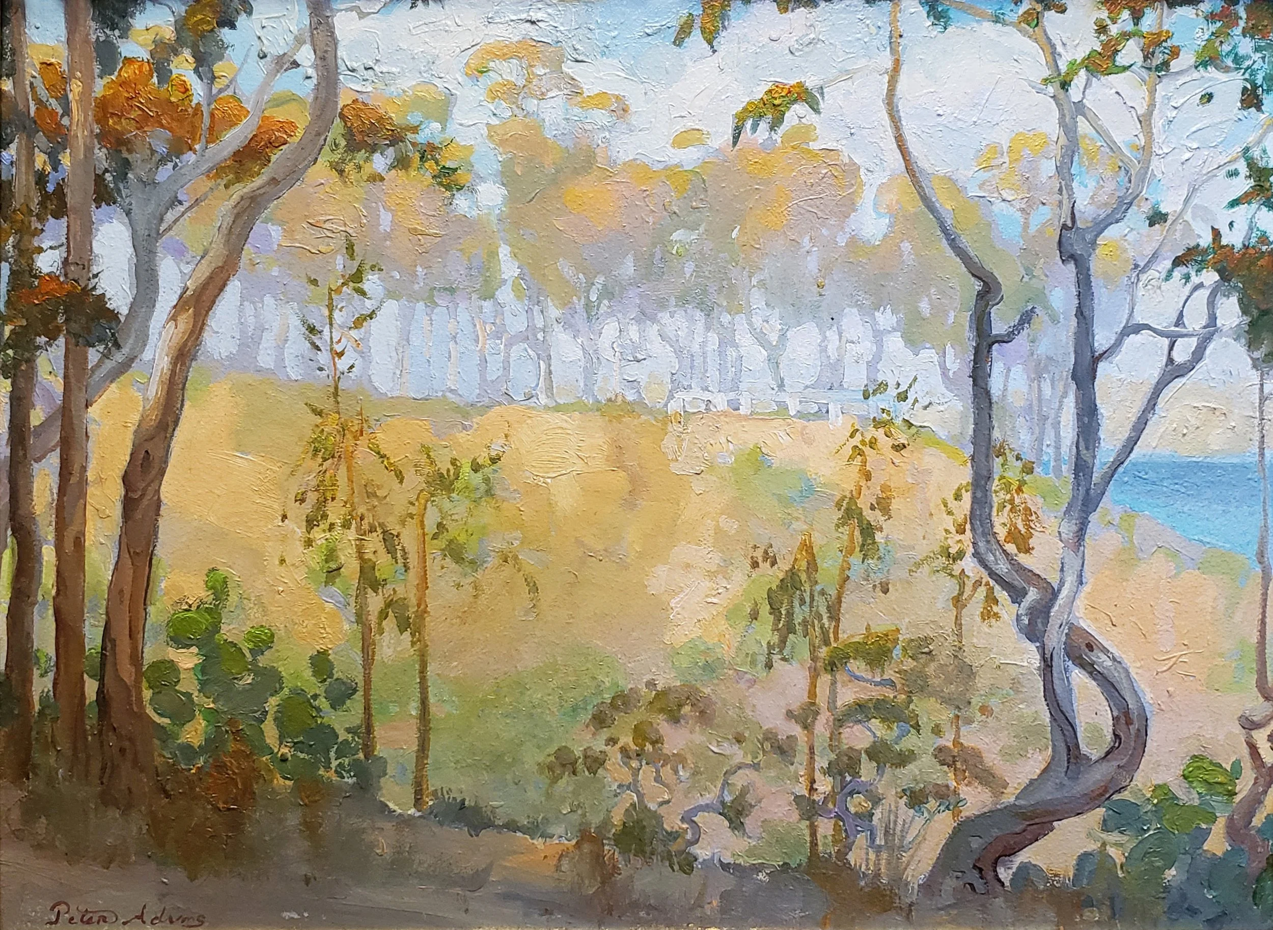 Eucalyptus View on Old Stage Road; Catalina Island