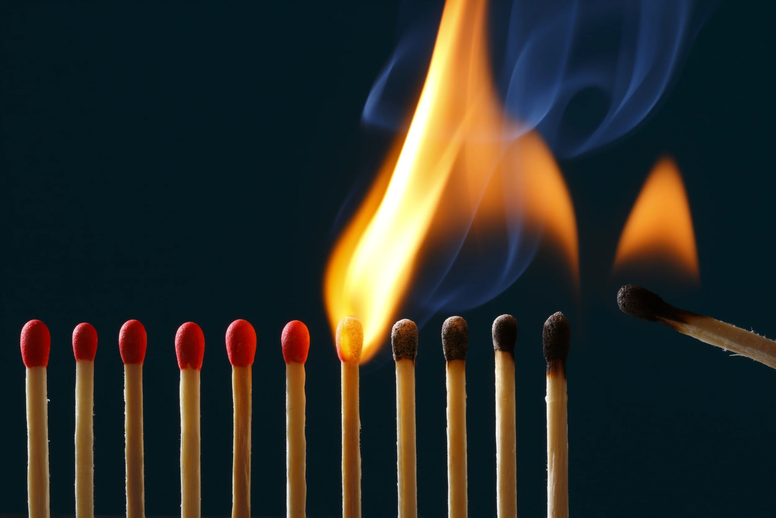 The School Library as Change Agent