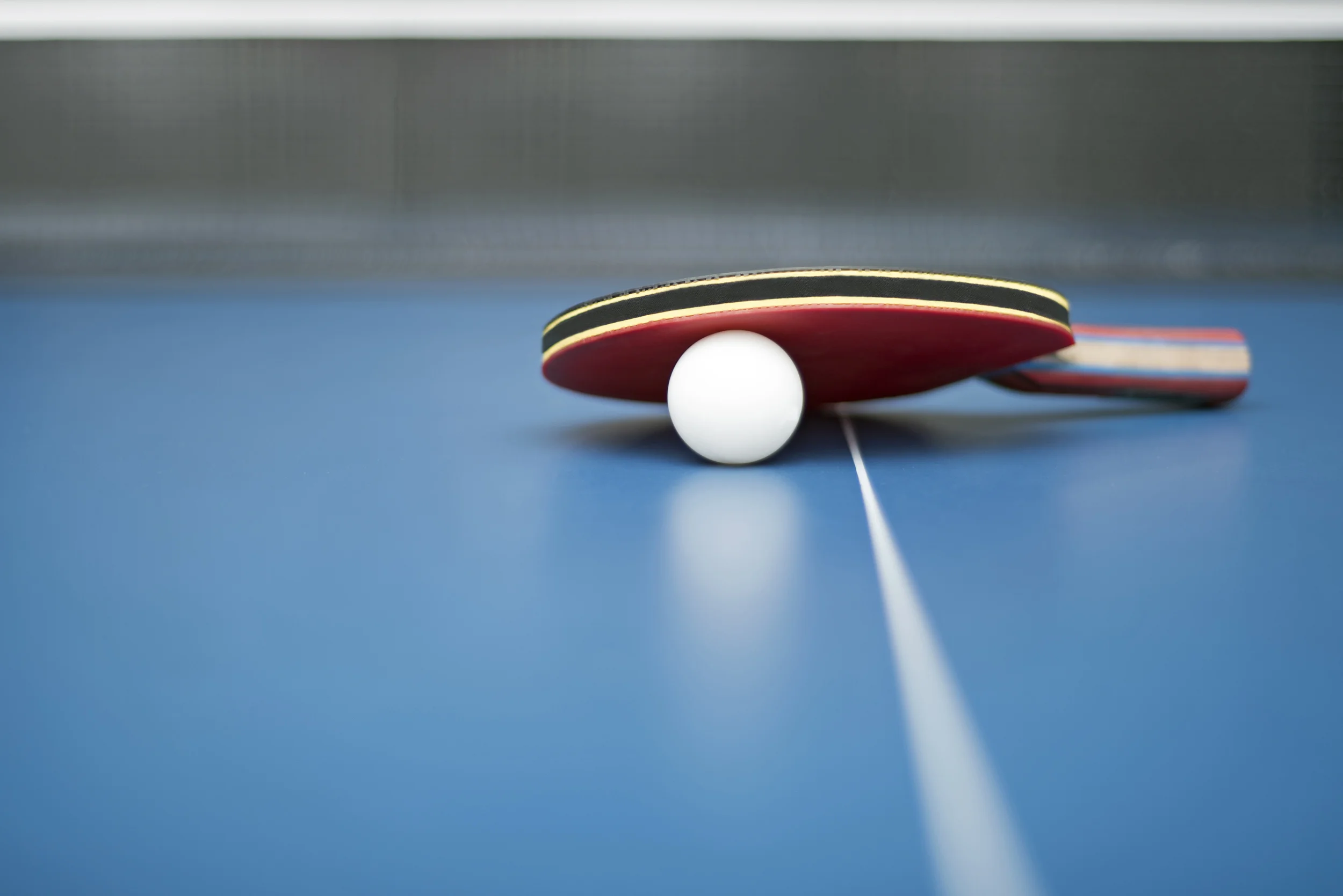 Educational Ping Pong