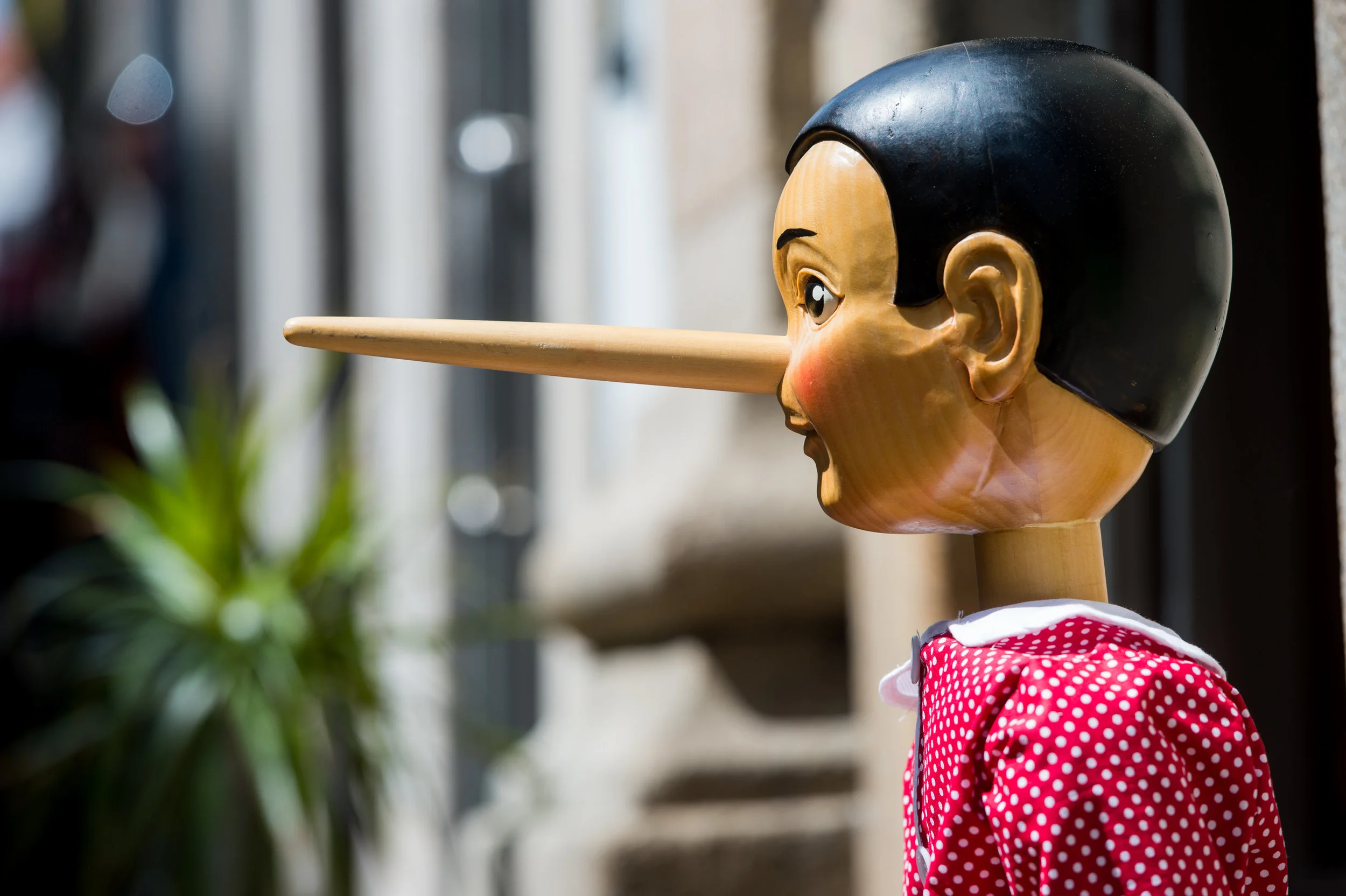 Beyond Teaching Fake News