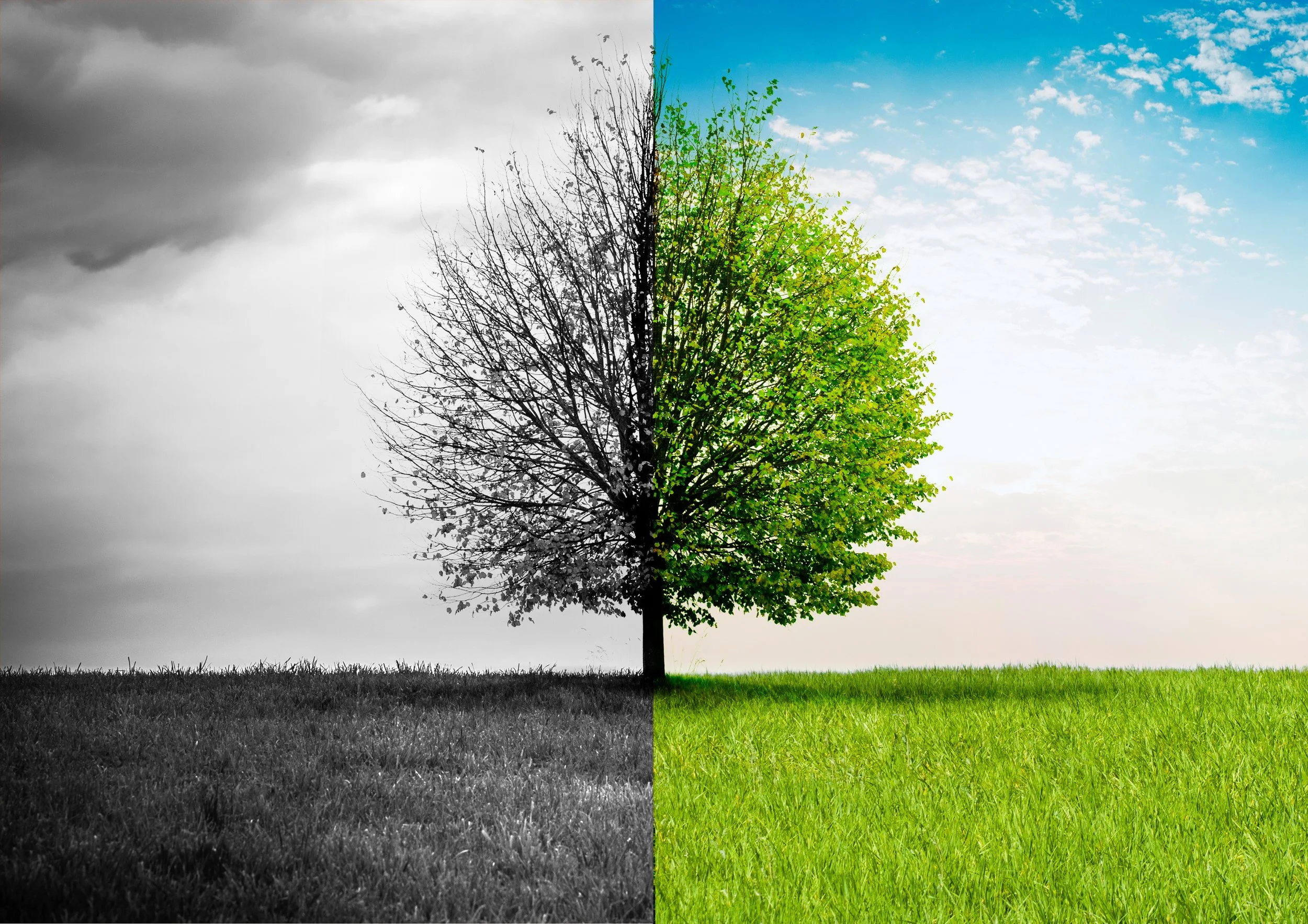 From Missed Opportunity to Transformation: Rethinking How Schools Make Sense of Disruptive Technologies