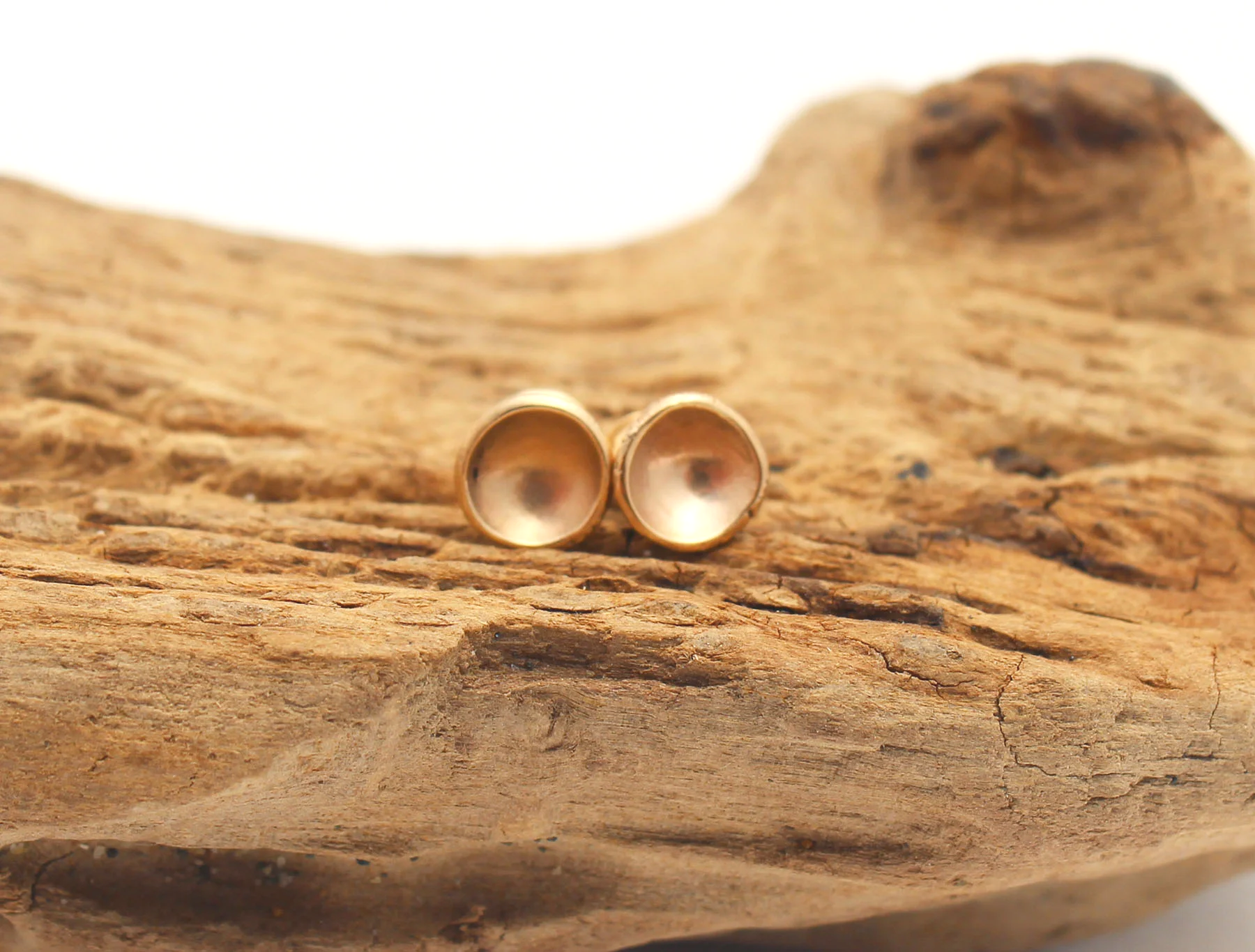 shell shaped gold stud earrings