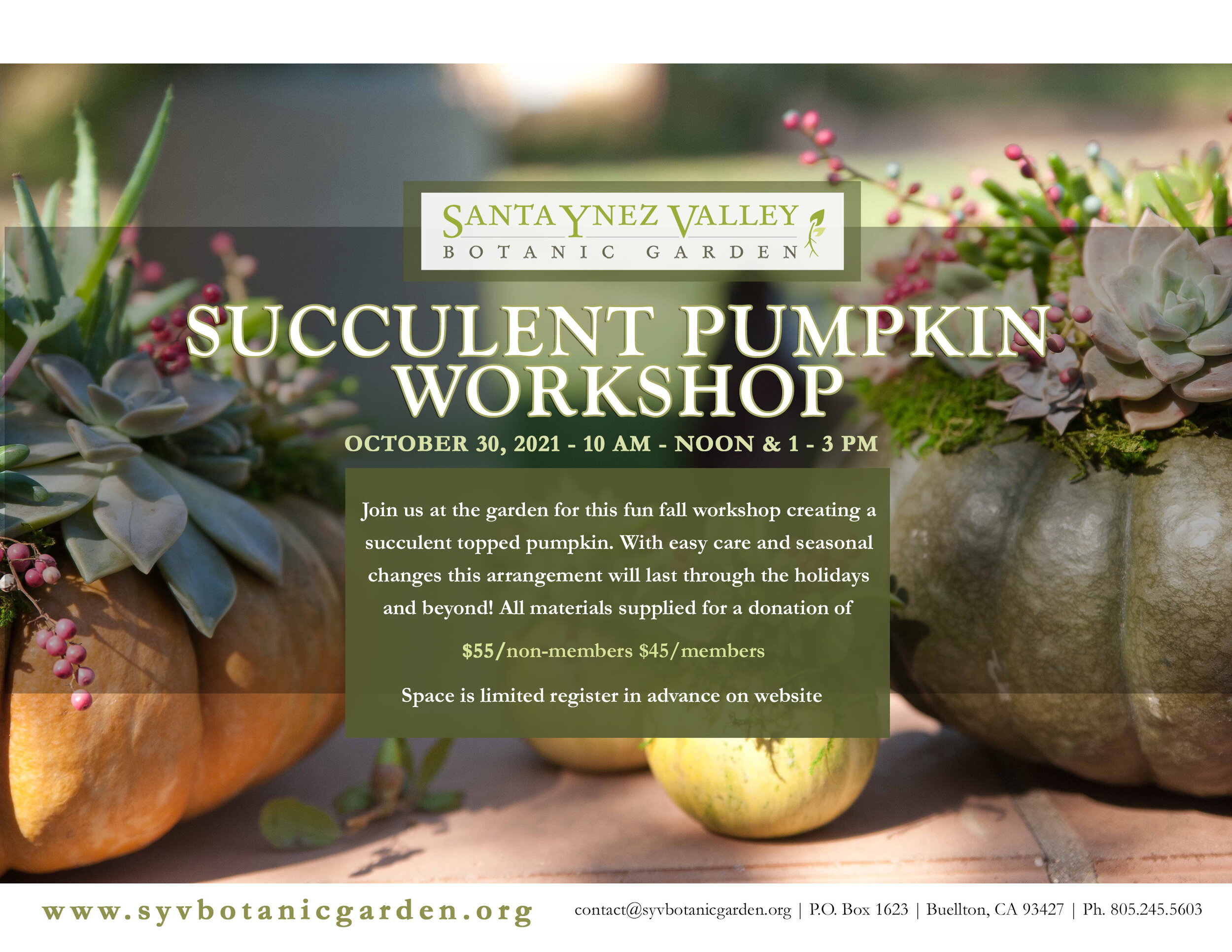 Succulent Pumpkin Workshop