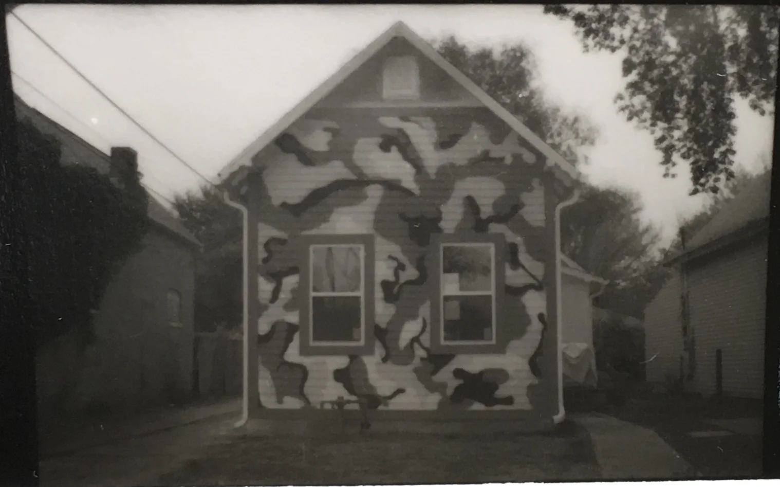 THEY ARE GIVEN EVERYTHING THEY NEED, EVEN A SALT BLOCK (gelatin silver print)