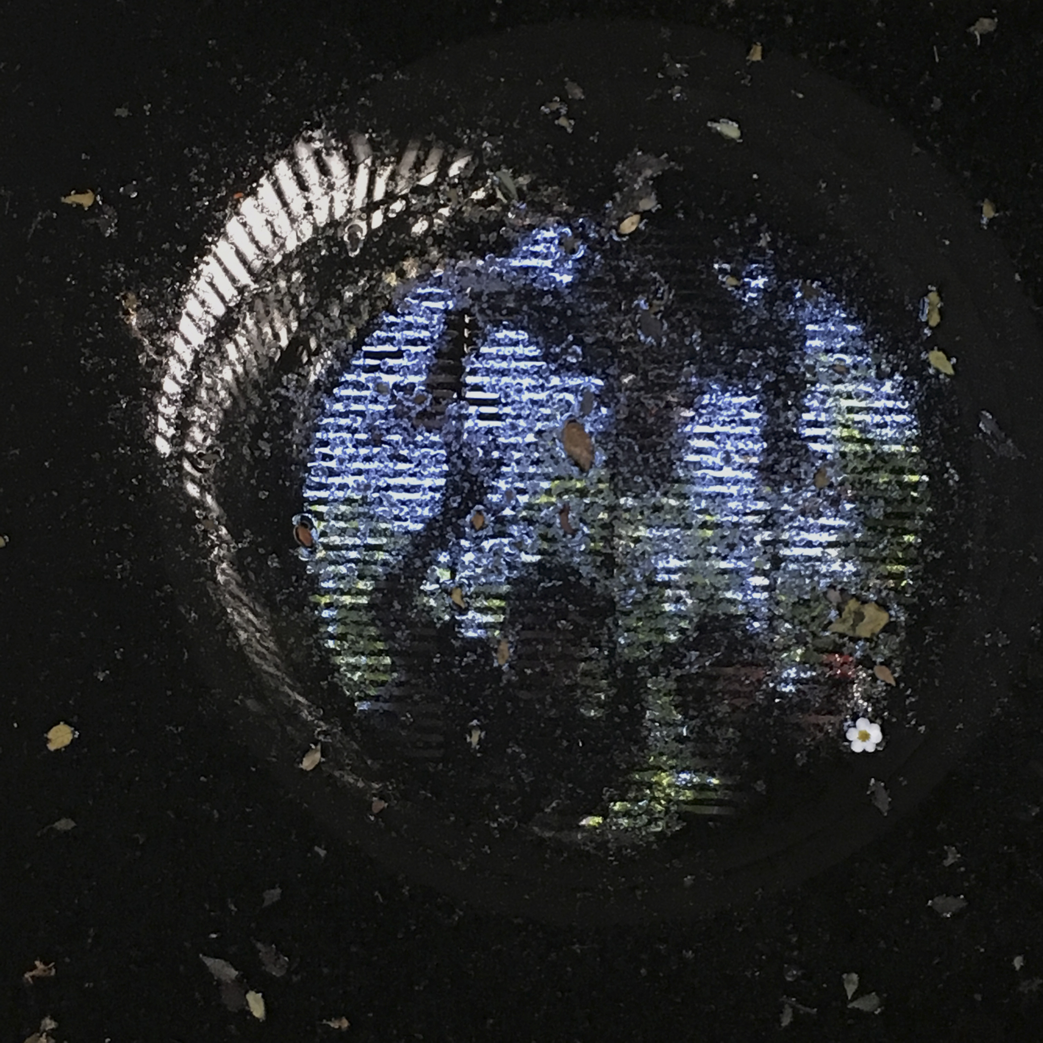 Untitled (The End)