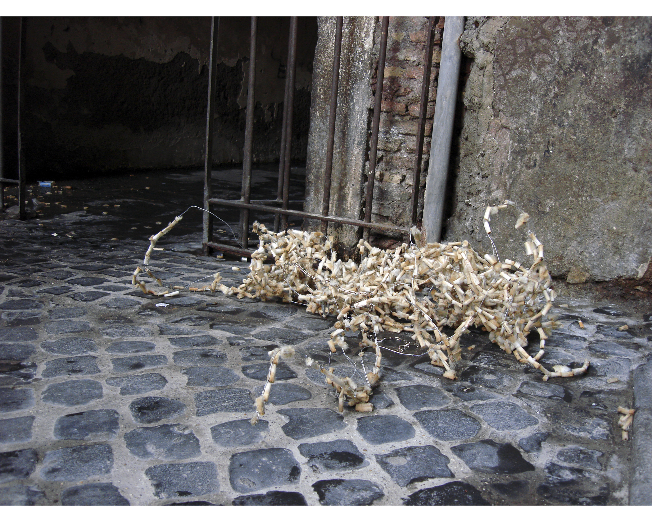 Carcass (urban intervention)
