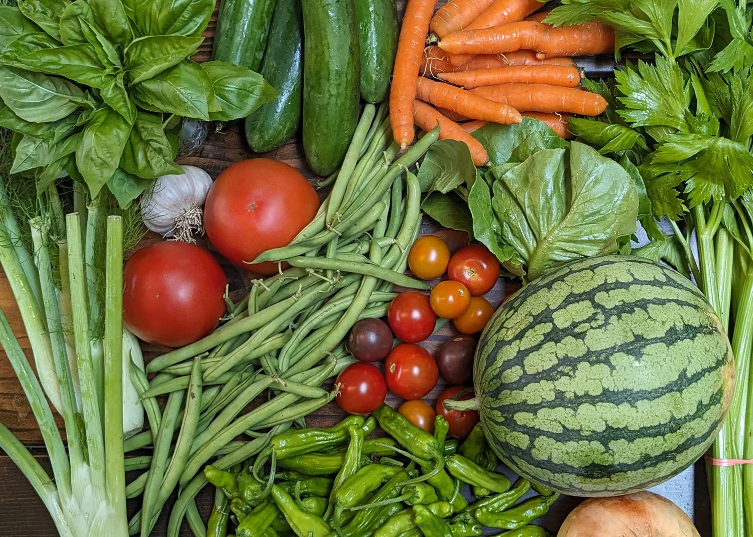 Vegetables and Fruits.jpg