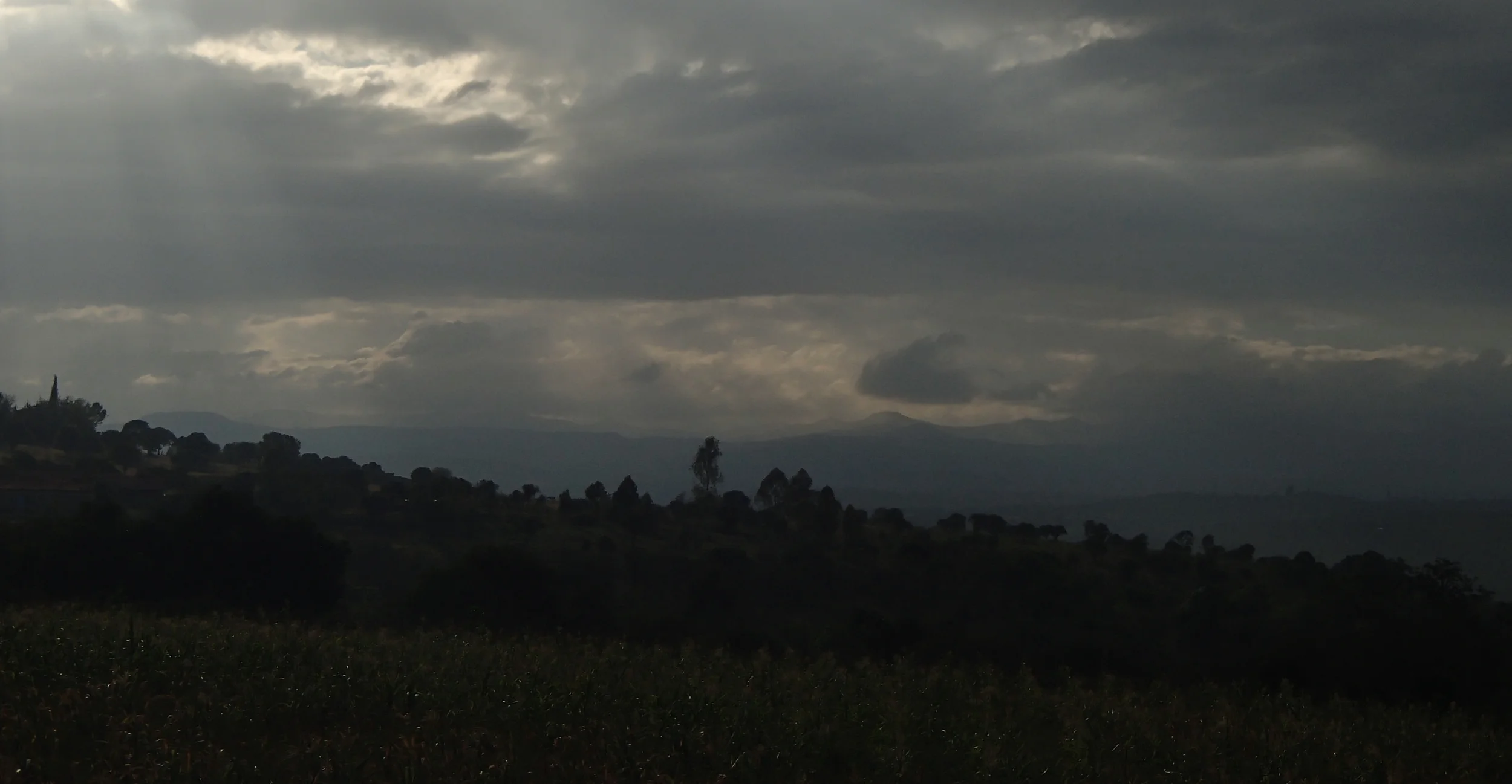 P1010152.JPG