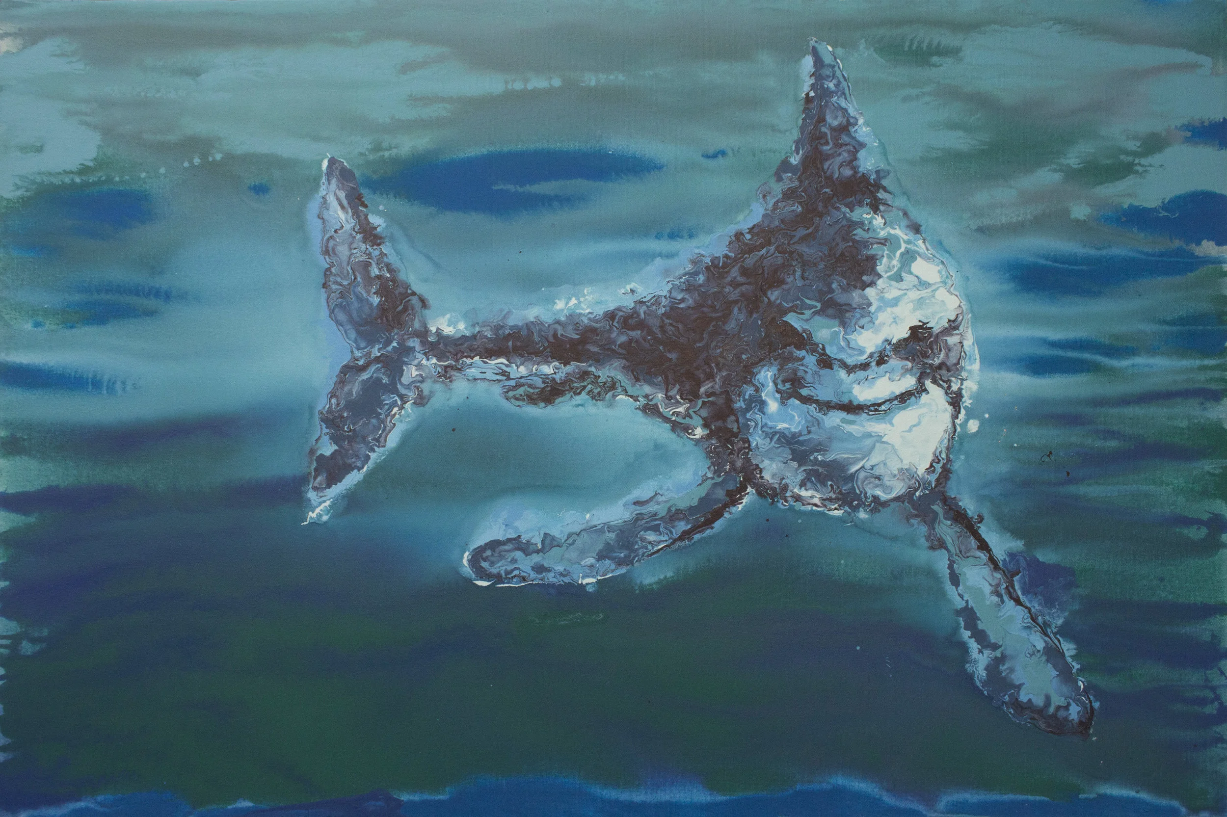 Tiburón sonriente
