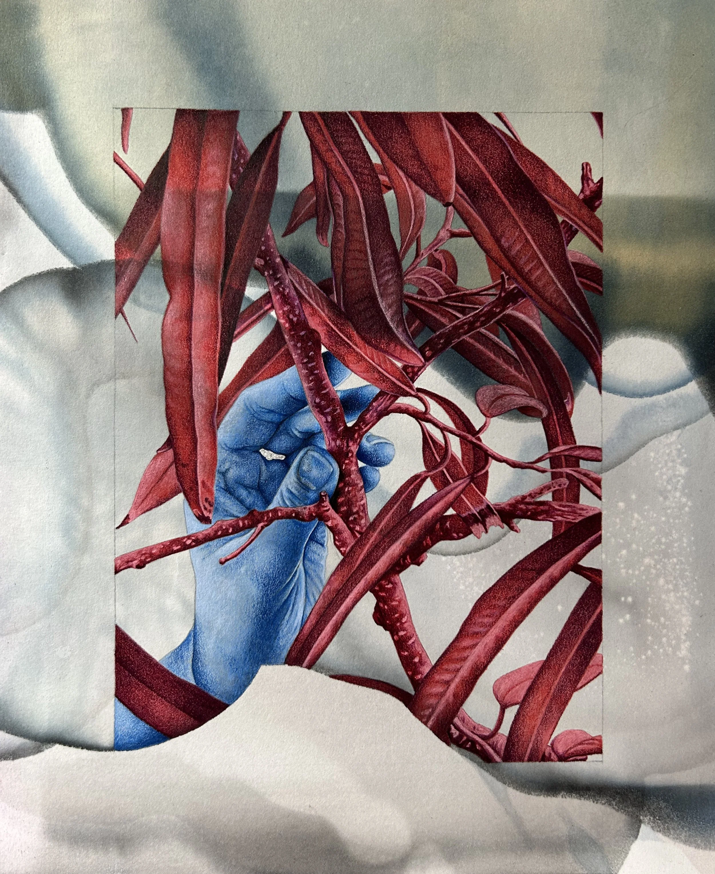 Long Leaf Fig In Red