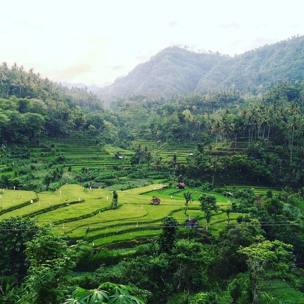 HOW TO EXPLORE AMED, BALI