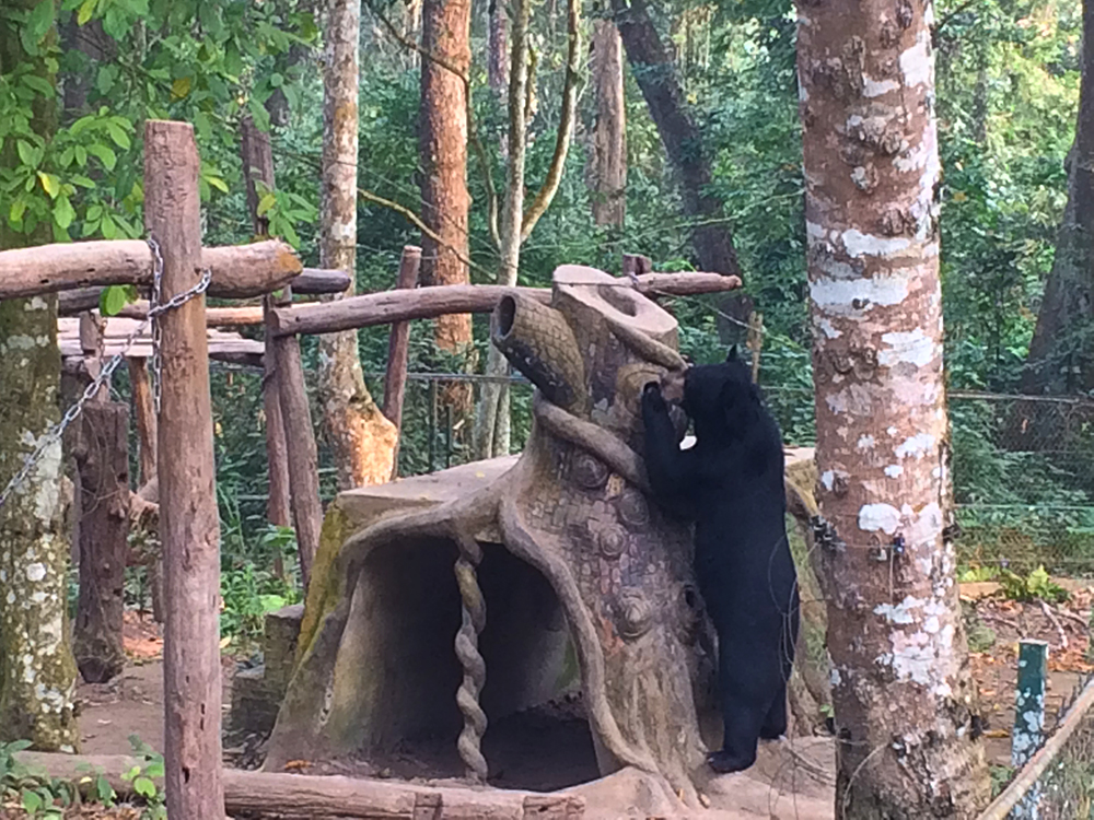 LuangPrabang_BearCenter2.jpg