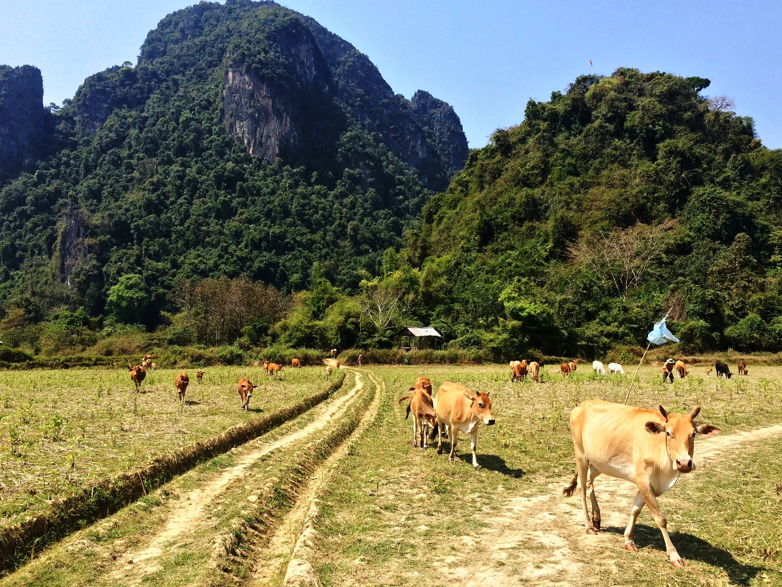 VangVieng_016.jpg