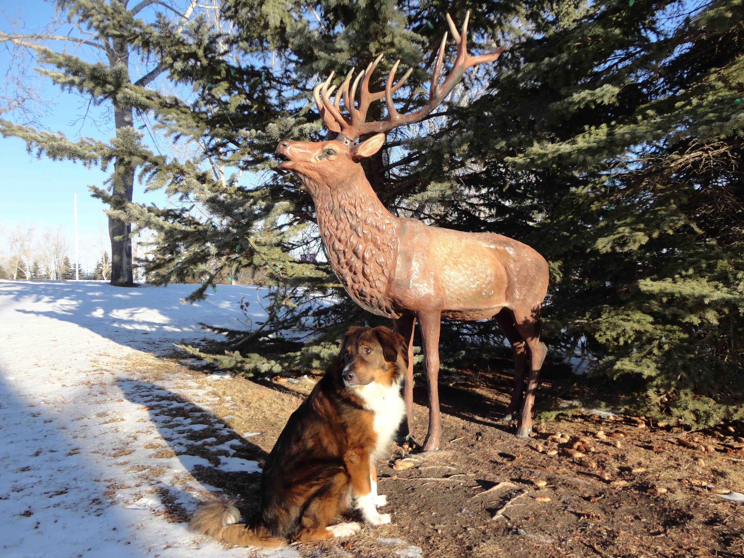 I've told him it's not real, but J's not quite convinced . . .