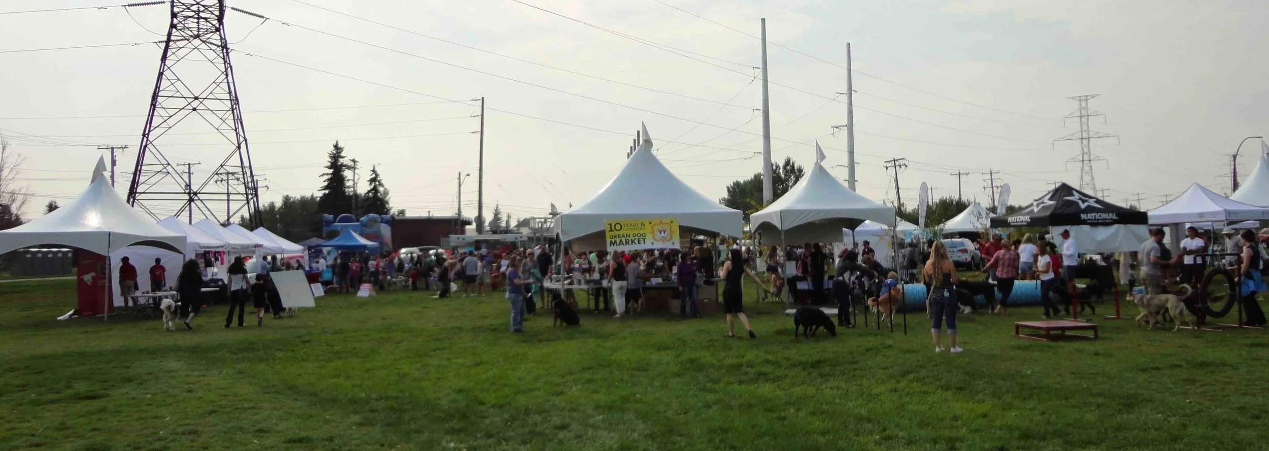 pawsinthepark2.jpg