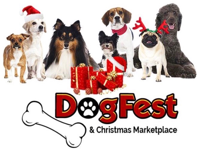 I mage credit: DogFest